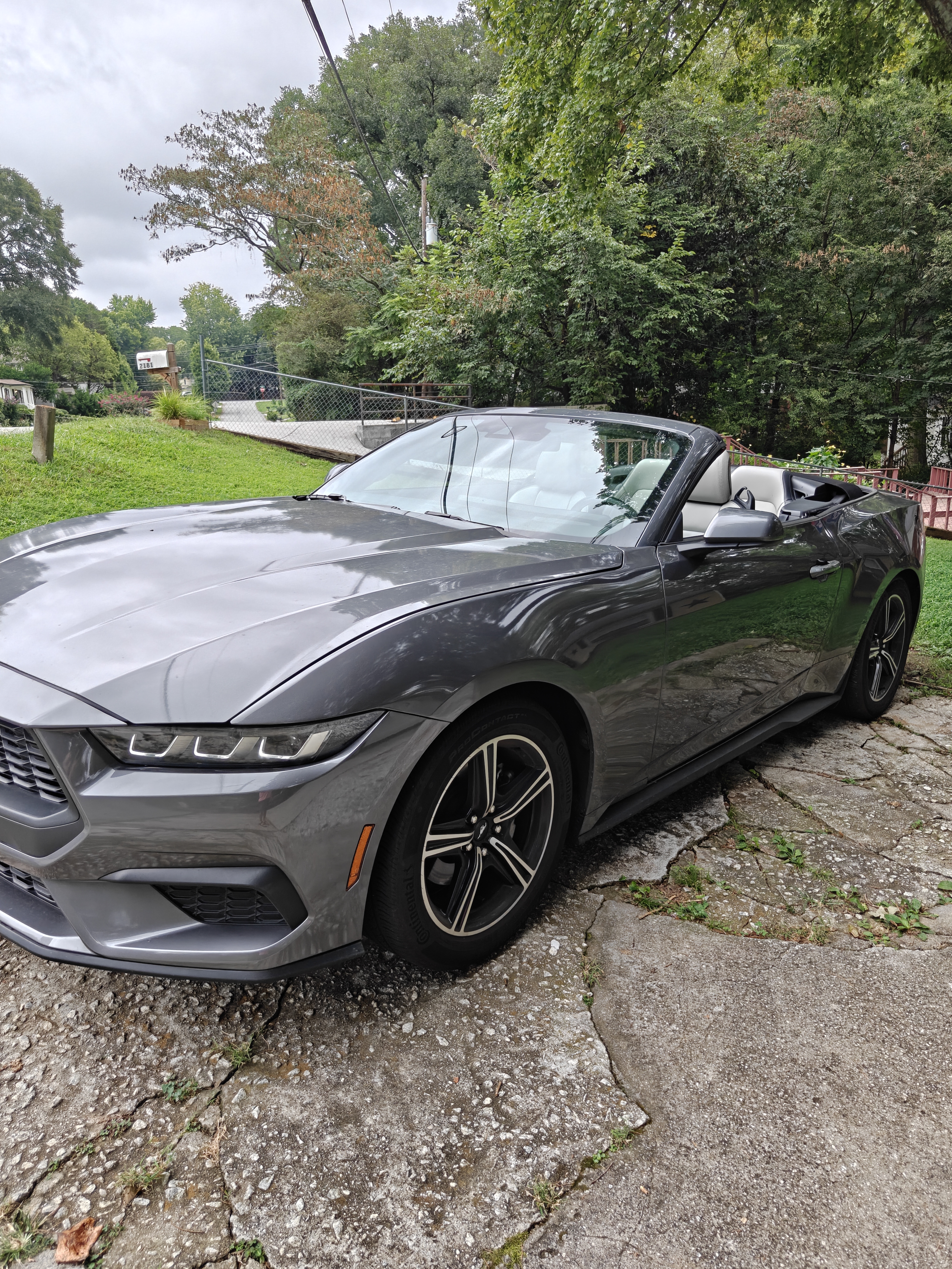 Used 2024 Ford Mustang Premium RWD image 5
