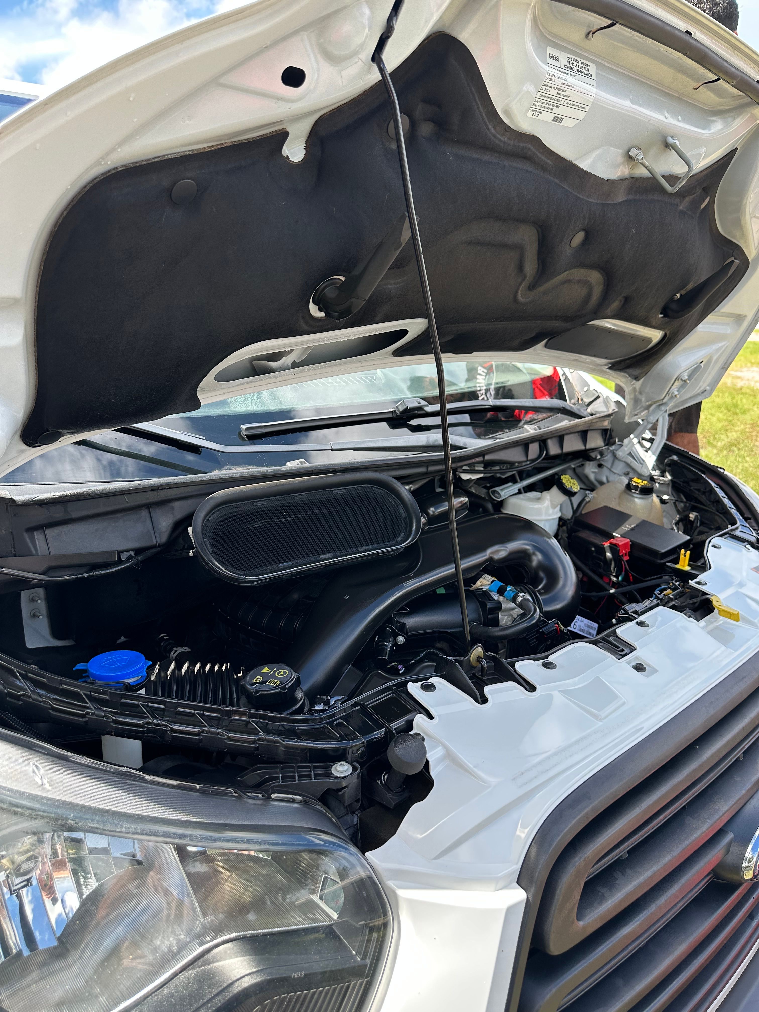 Used 2019 Ford Transit 250 148 Low Roof RWD image 14