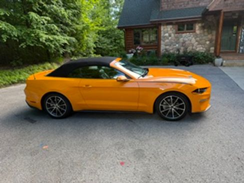 Used 2019 Ford Mustang Premium w/ Equipment Group 201A RWD image 10