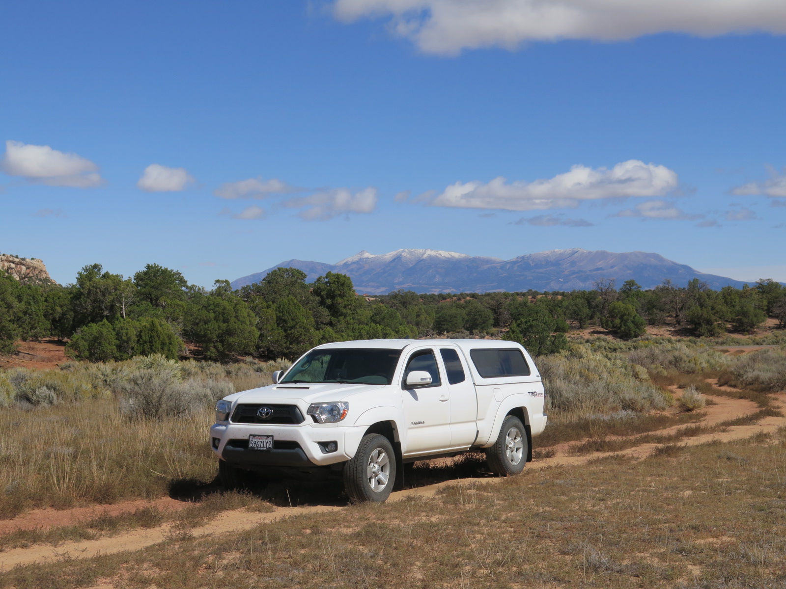 Used 2015 Toyota Tacoma PreRunner w/ TRD Sport Package RWD image 4