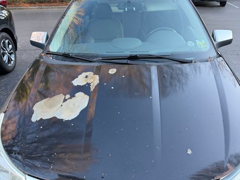 Used 2010 Ford Focus SEL image 2