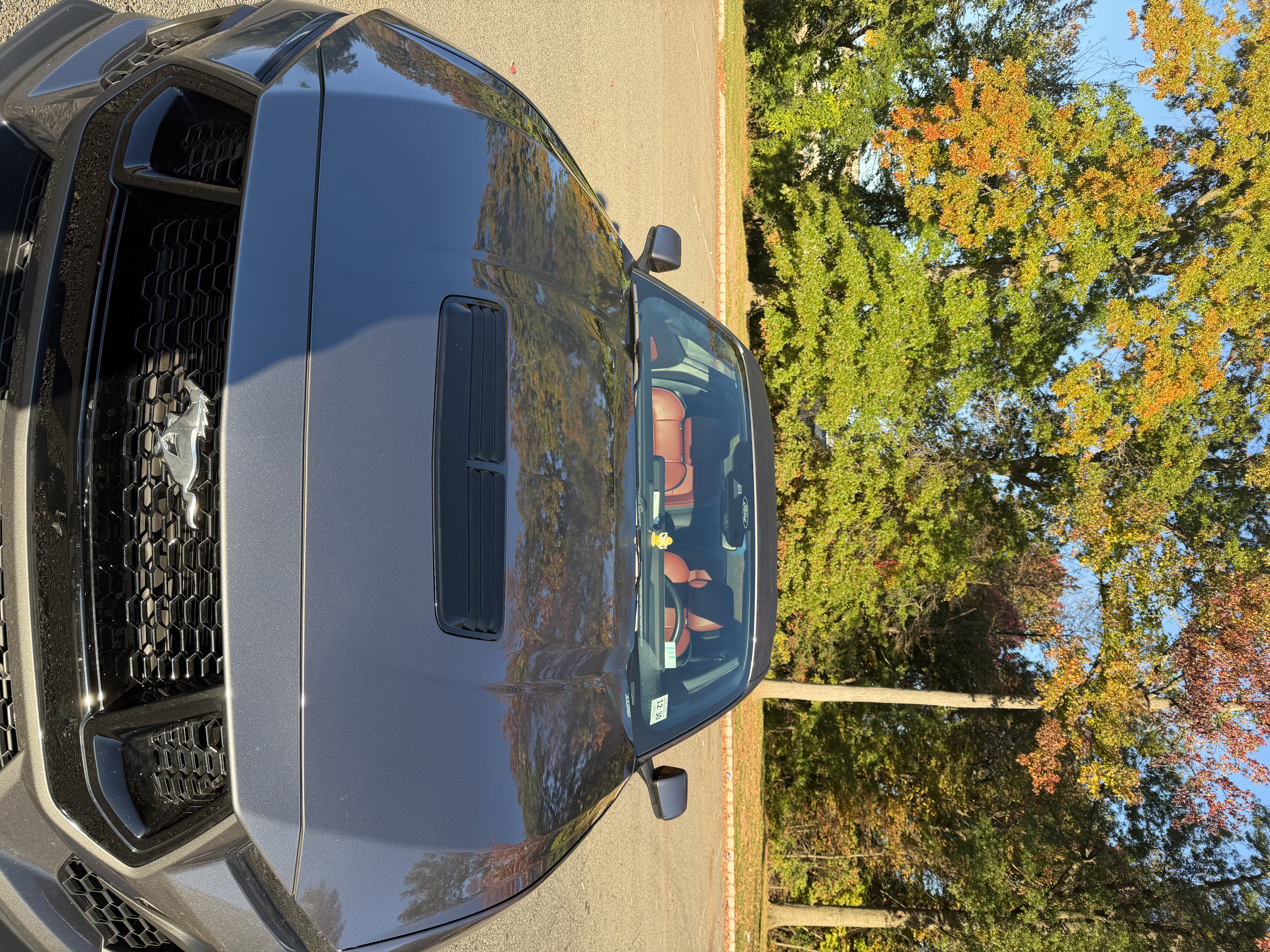 Used 2025 Ford Mustang GT Premium w/ GT Performance Package RWD image 6