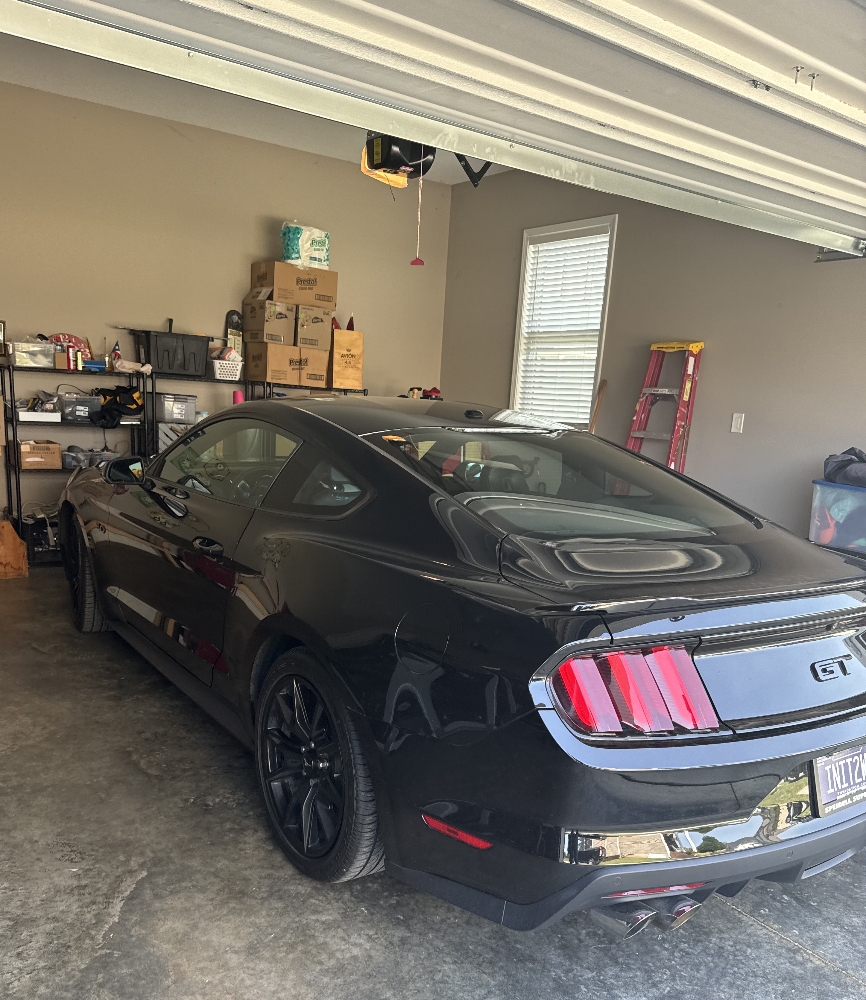 Used 2017 Ford Mustang GT Premium w/ Equipment Group 401A RWD image 2