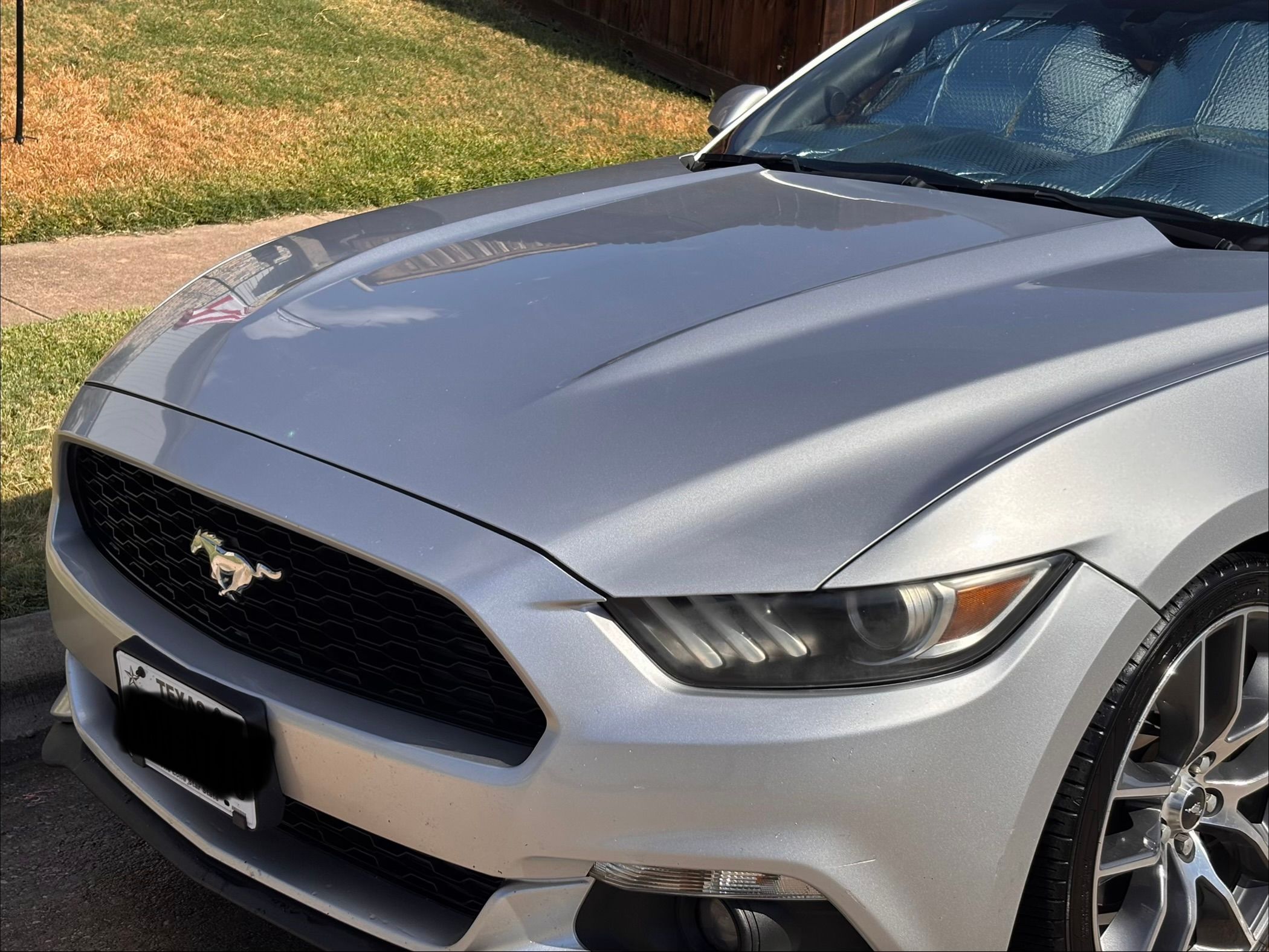 Used 2016 Ford Mustang Premium RWD image 5
