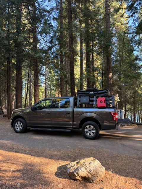 Used 2020 Ford F150 XLT RWD image 2