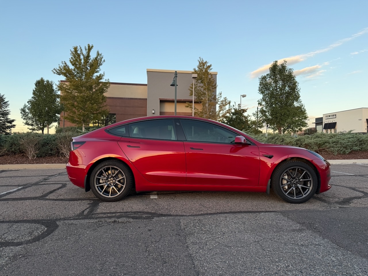 Used 2019 Tesla Model 3 Long Range AWD/4WD image 5