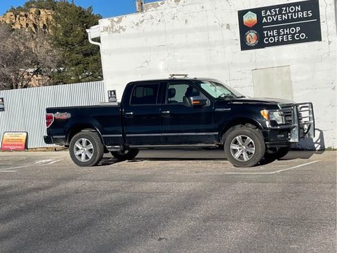 Used 2009 Ford F150 Platinum image 16