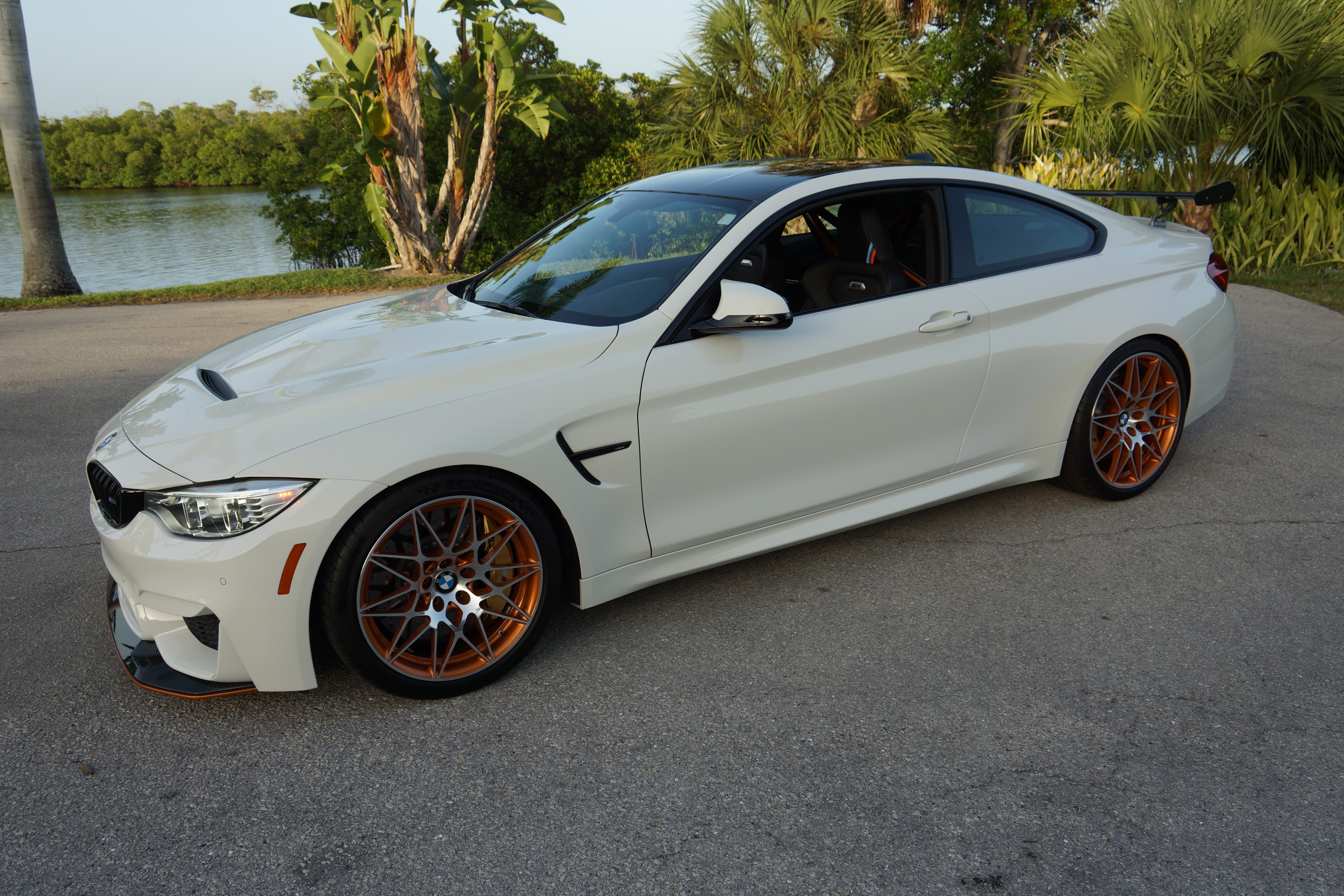 Used 2016 BMW M4 GTS RWD image 4