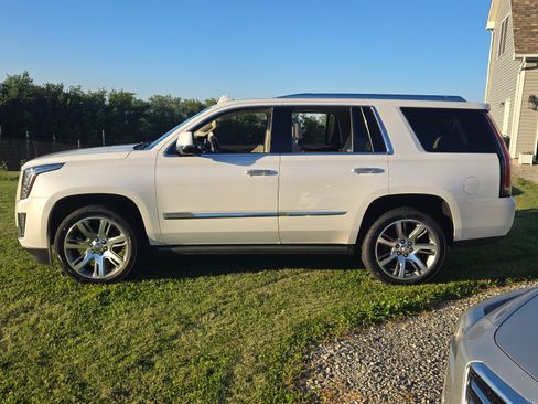Used 2016 Cadillac Escalade Premium AWD/4WD image 6