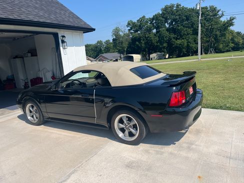 Used 2001 Ford Mustang GT RWD image 5