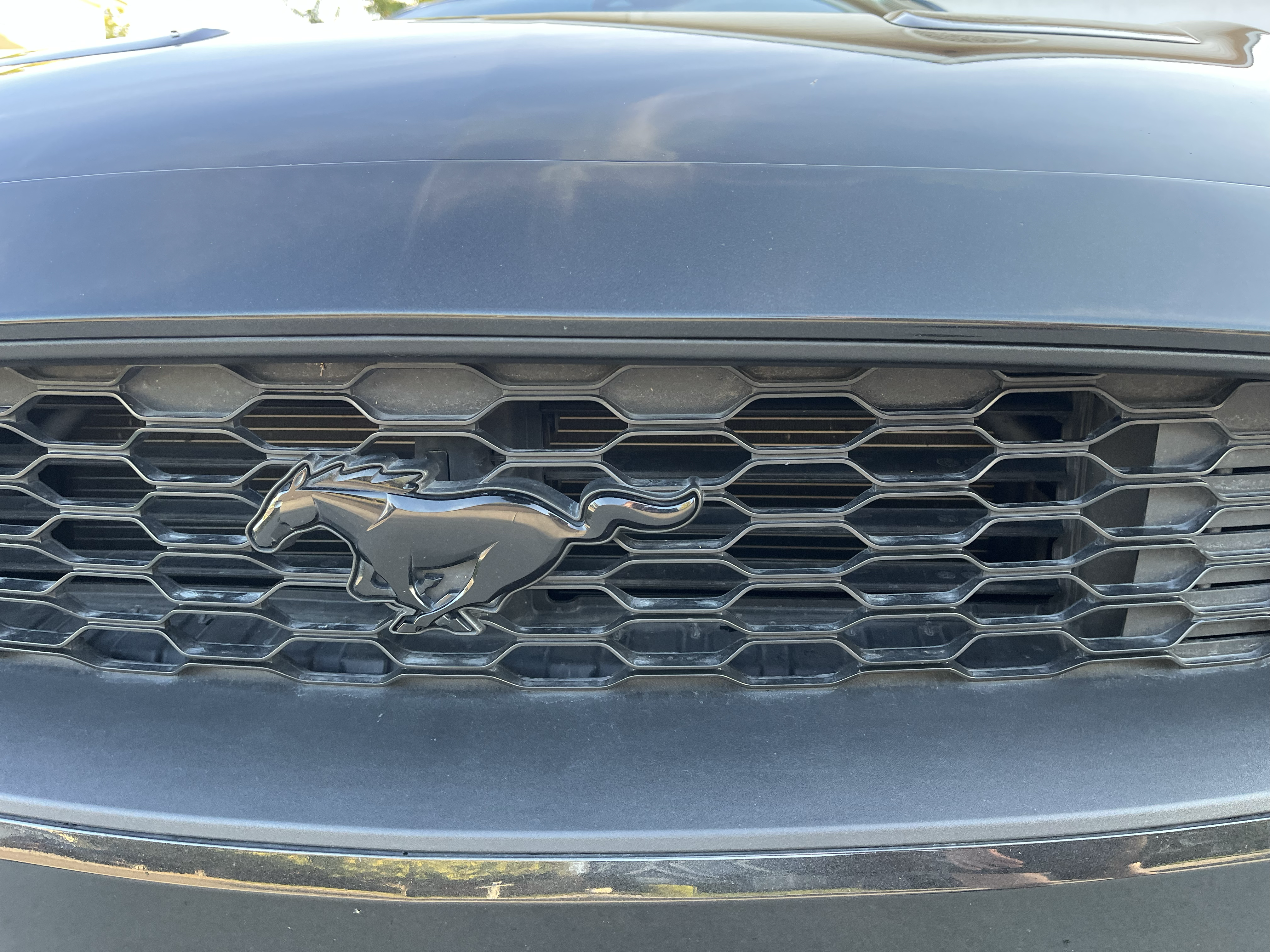 Used 2022 Ford Mustang Premium w/ Black Accent Package RWD image 14