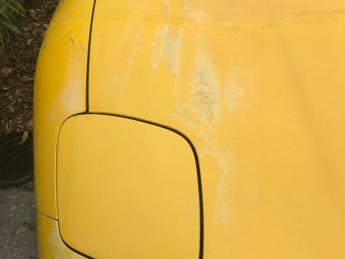 Used 2004 Chevrolet Corvette Convertible w/ Preferred Equipment Group image 12