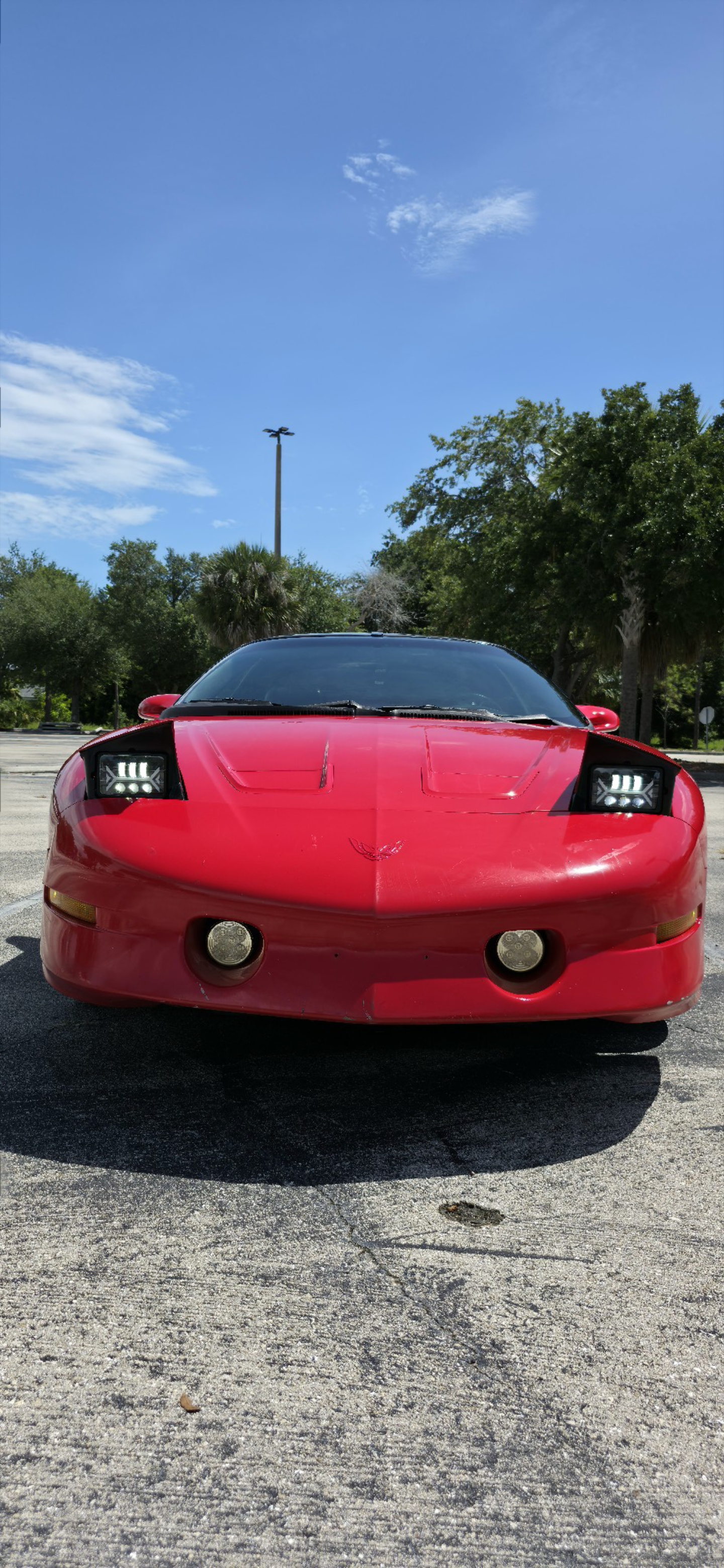 Used 1996 Pontiac Firebird Trans Am RWD image 9
