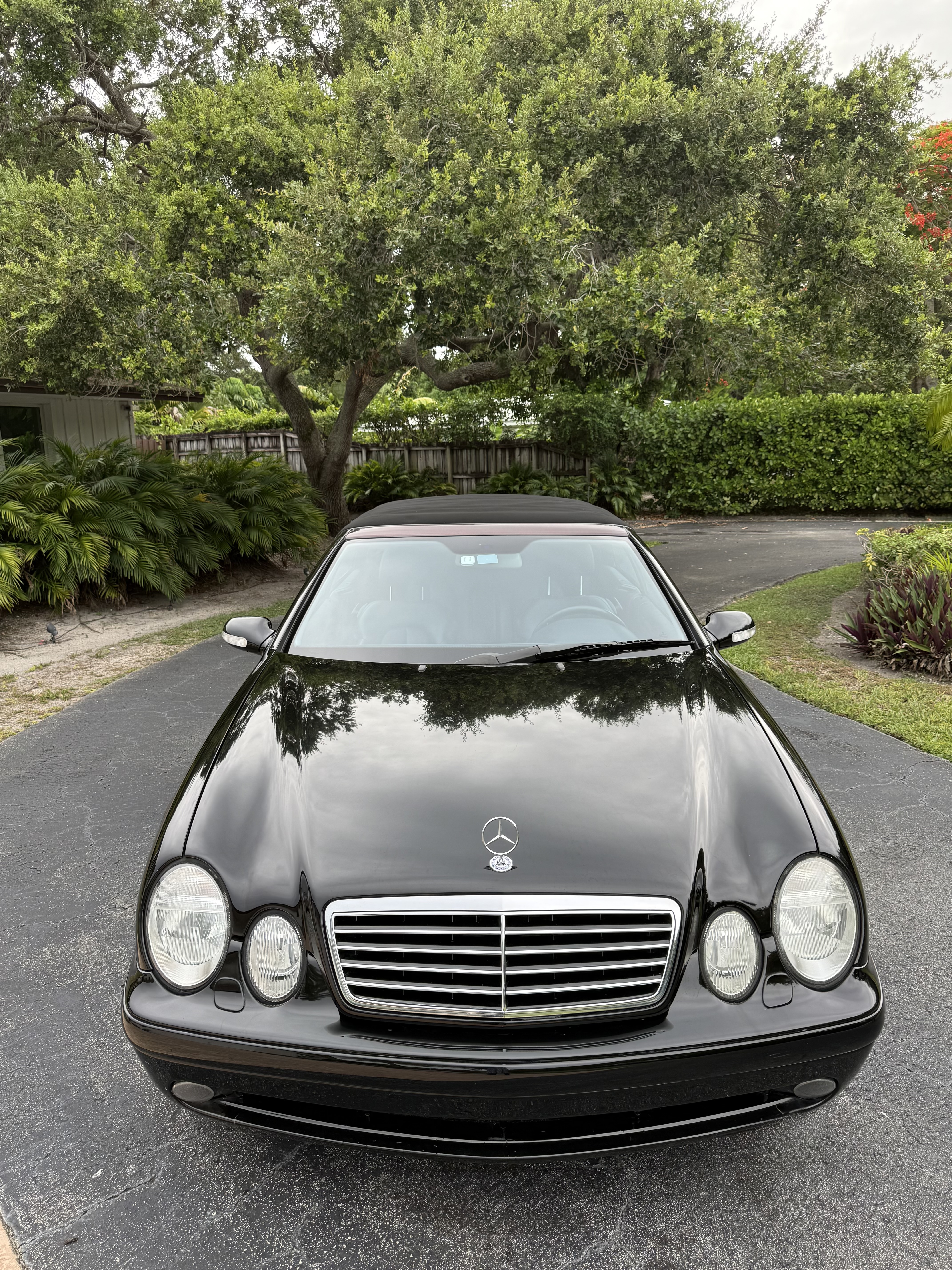 Used 2002 Mercedes-Benz CLK 430 Cabriolet image 8