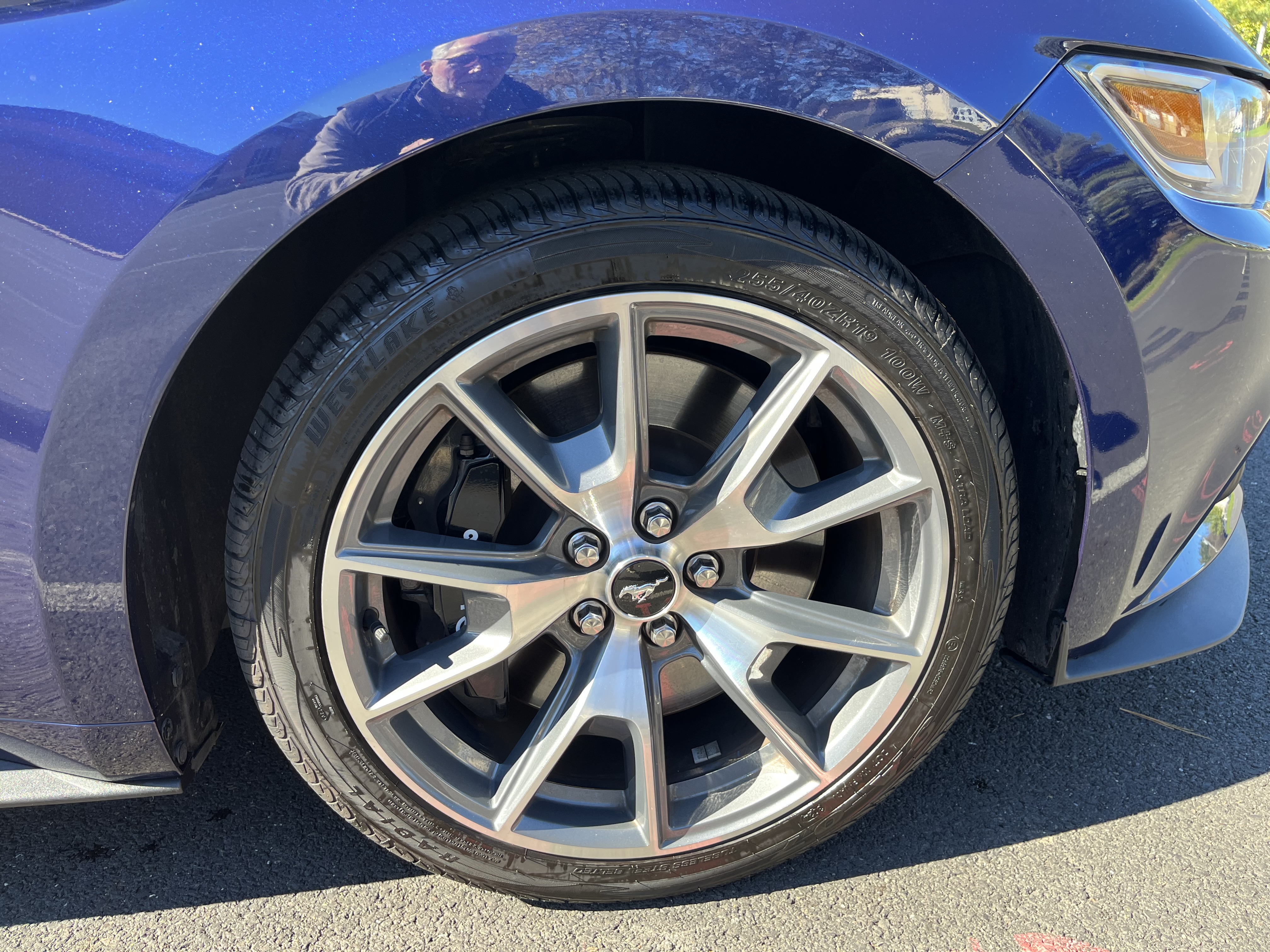 Used 2015 Ford Mustang 50 Years RWD image 15