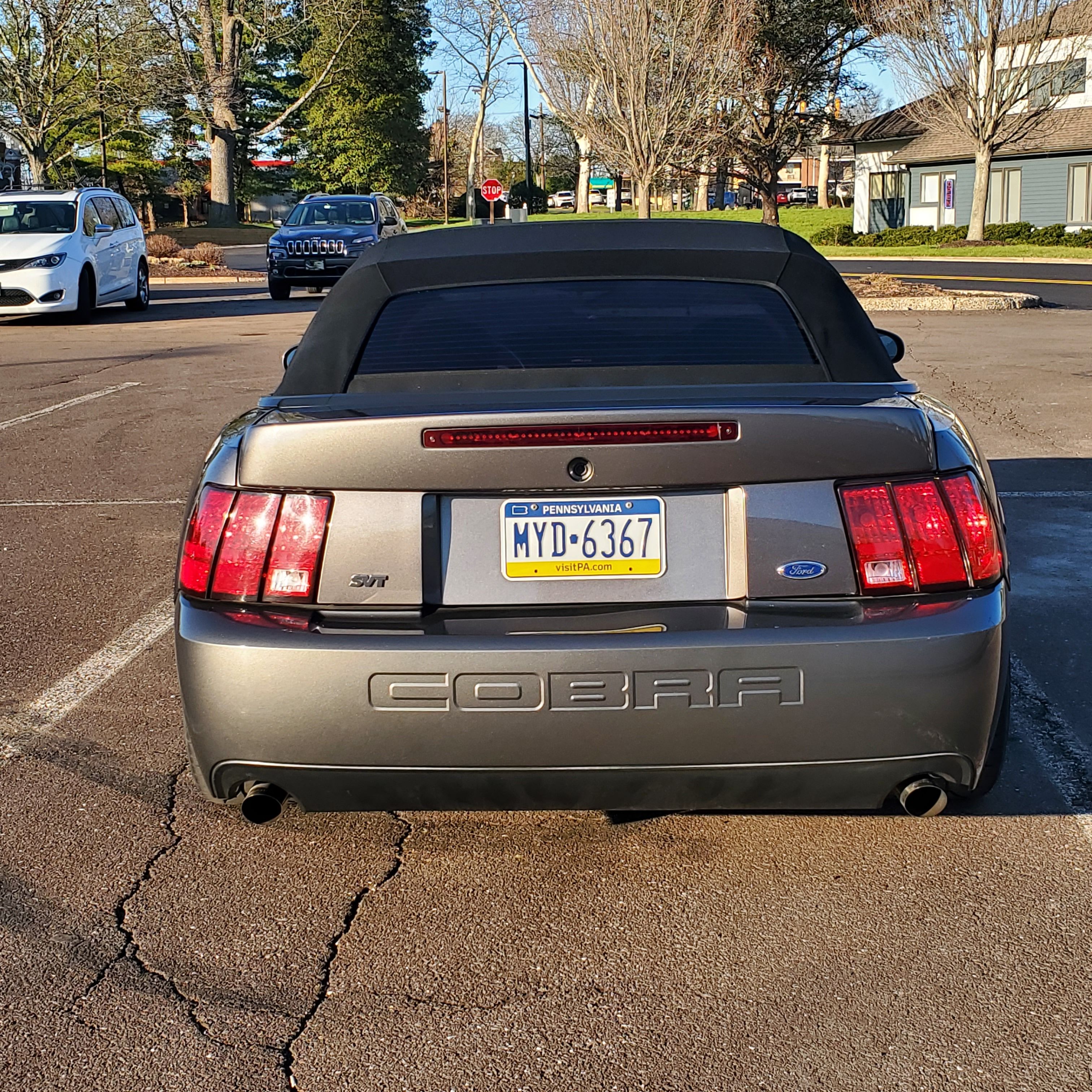 Used 2003 Ford Mustang Cobra RWD image 6
