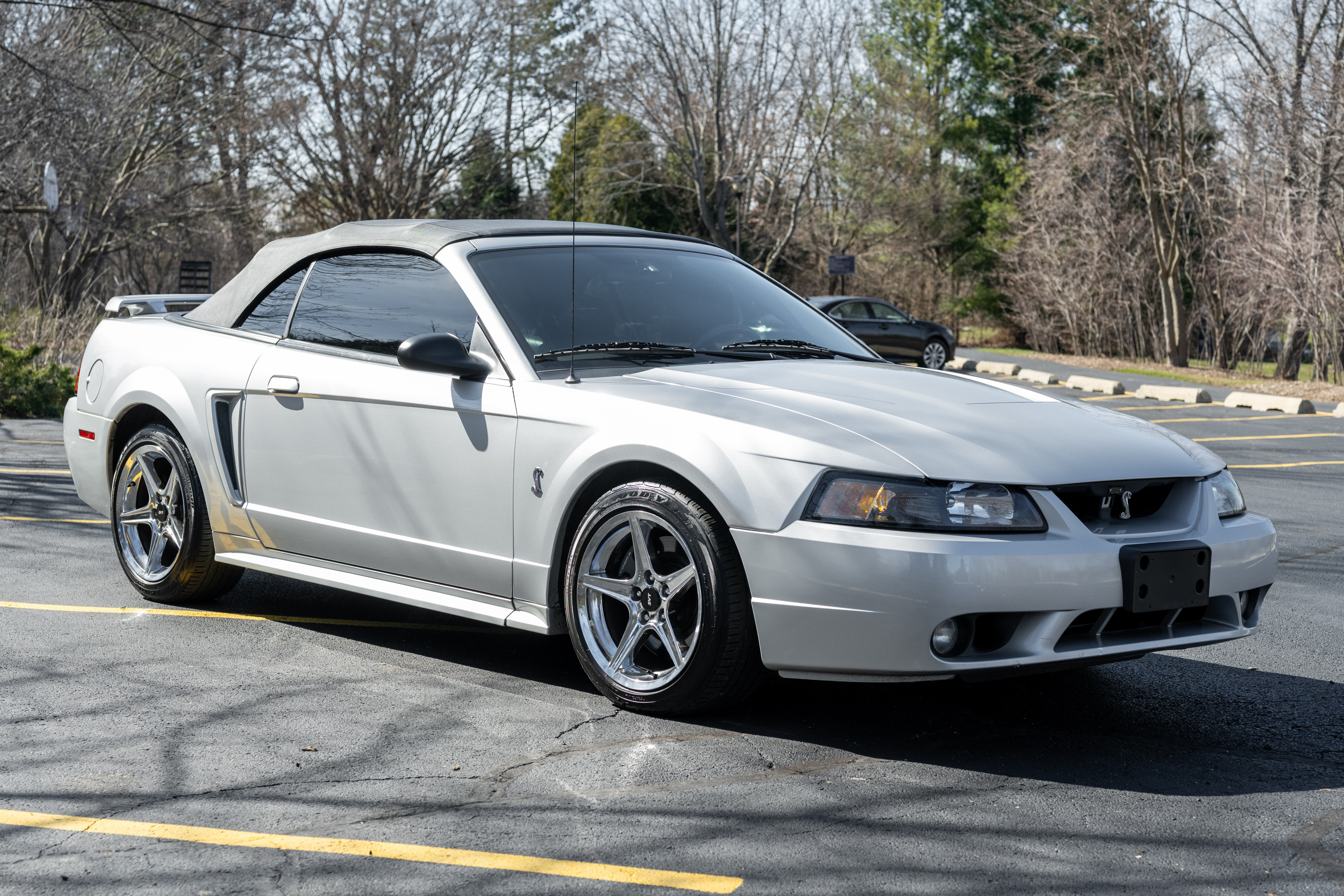 Used 2001 Ford Mustang Cobra RWD image 1