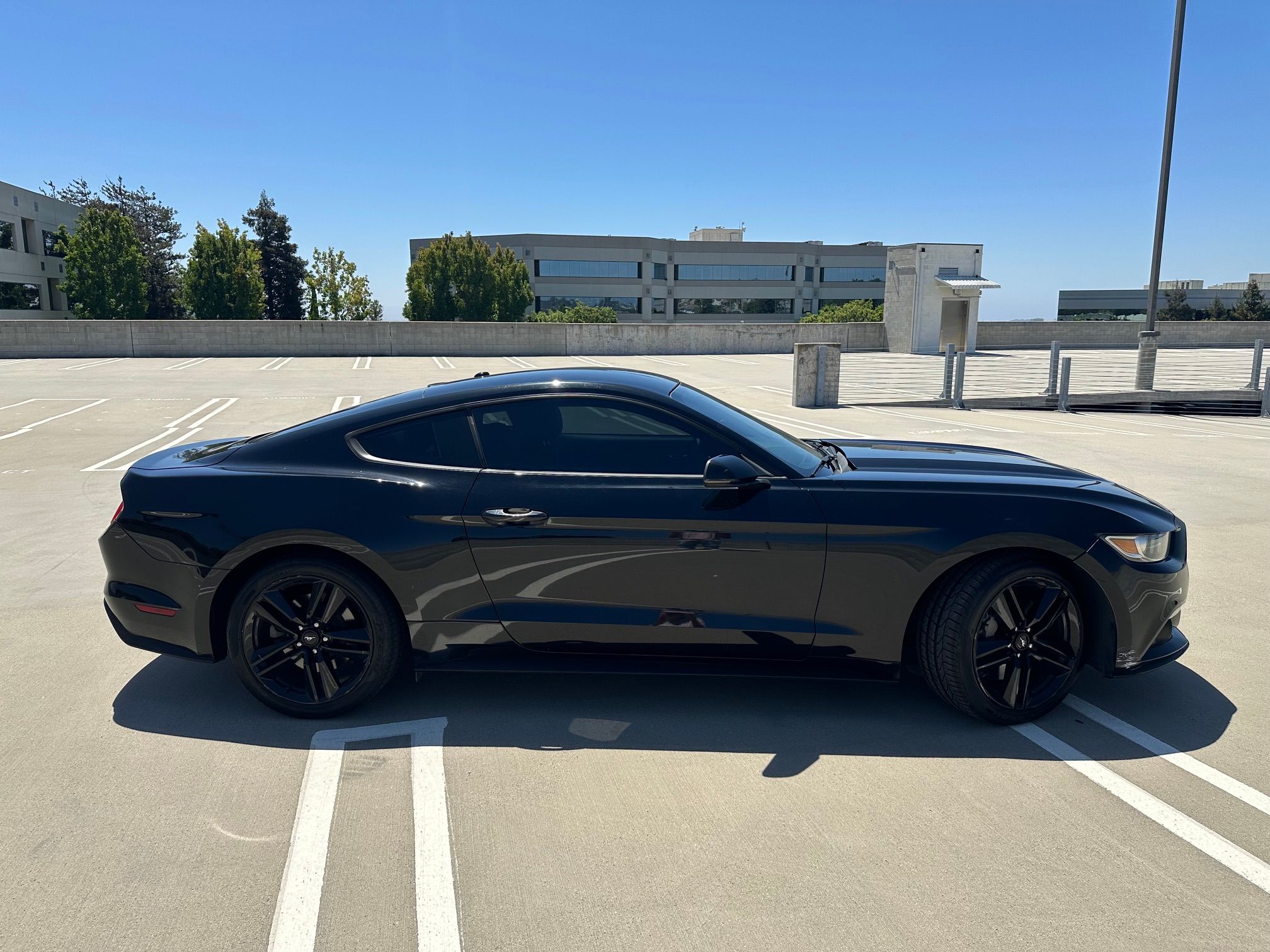 Used 2016 Ford Mustang Premium w/ Ecoboost Performance Package RWD image 8