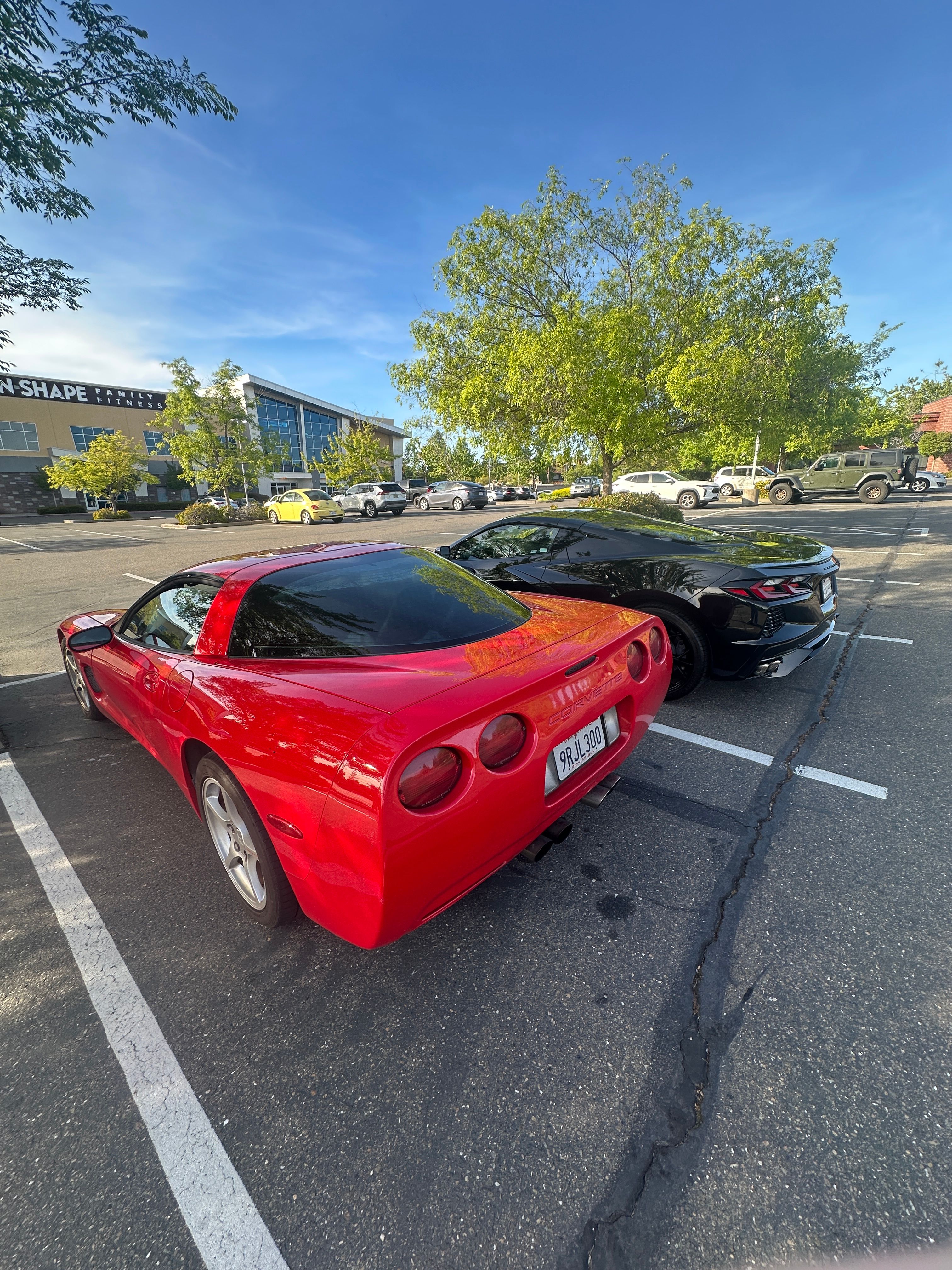 Used 2000 Chevrolet Corvette Coupe w/ Memory Pkg RWD image 12