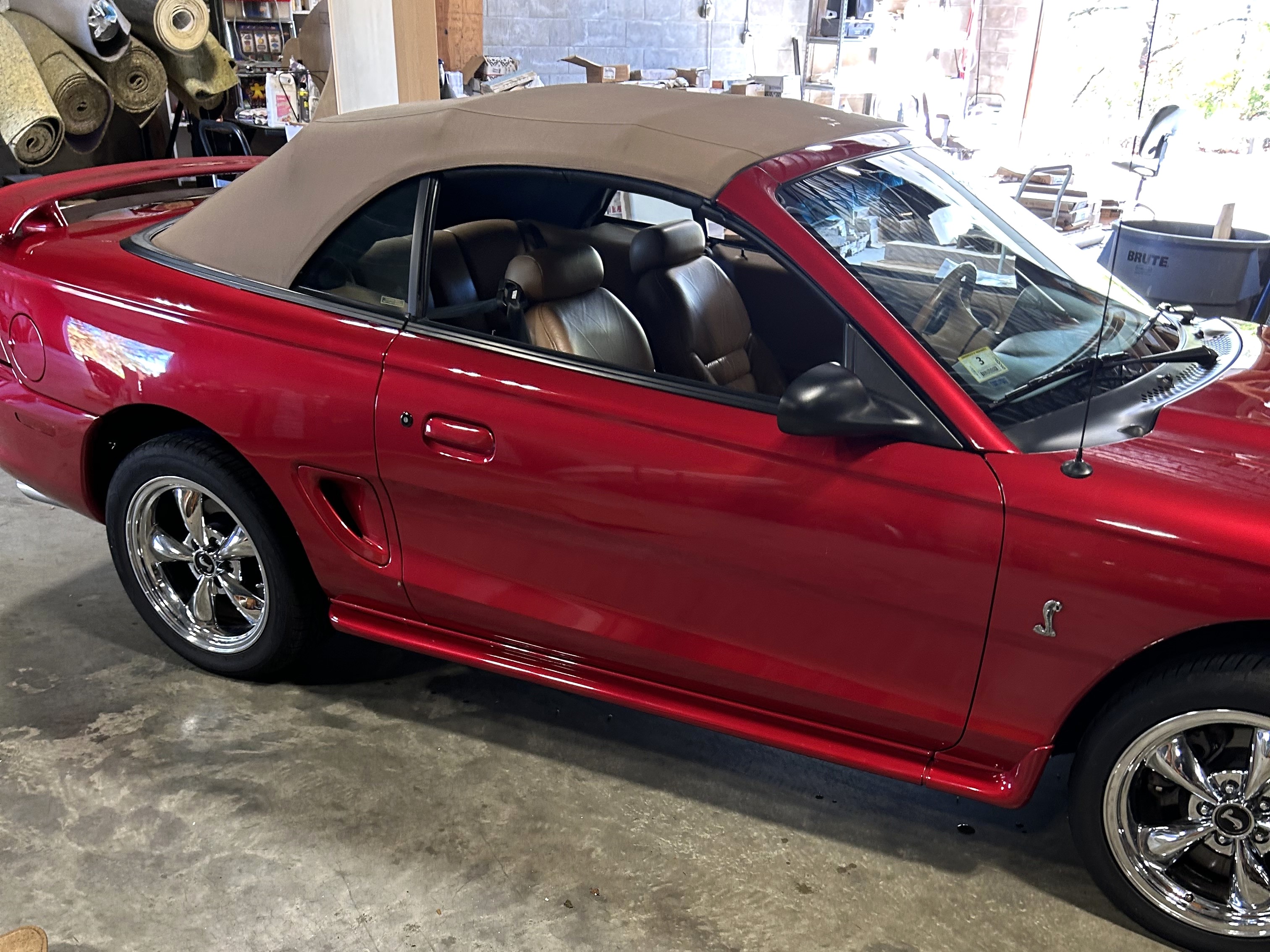 Used 1998 Ford Mustang Cobra RWD image 2