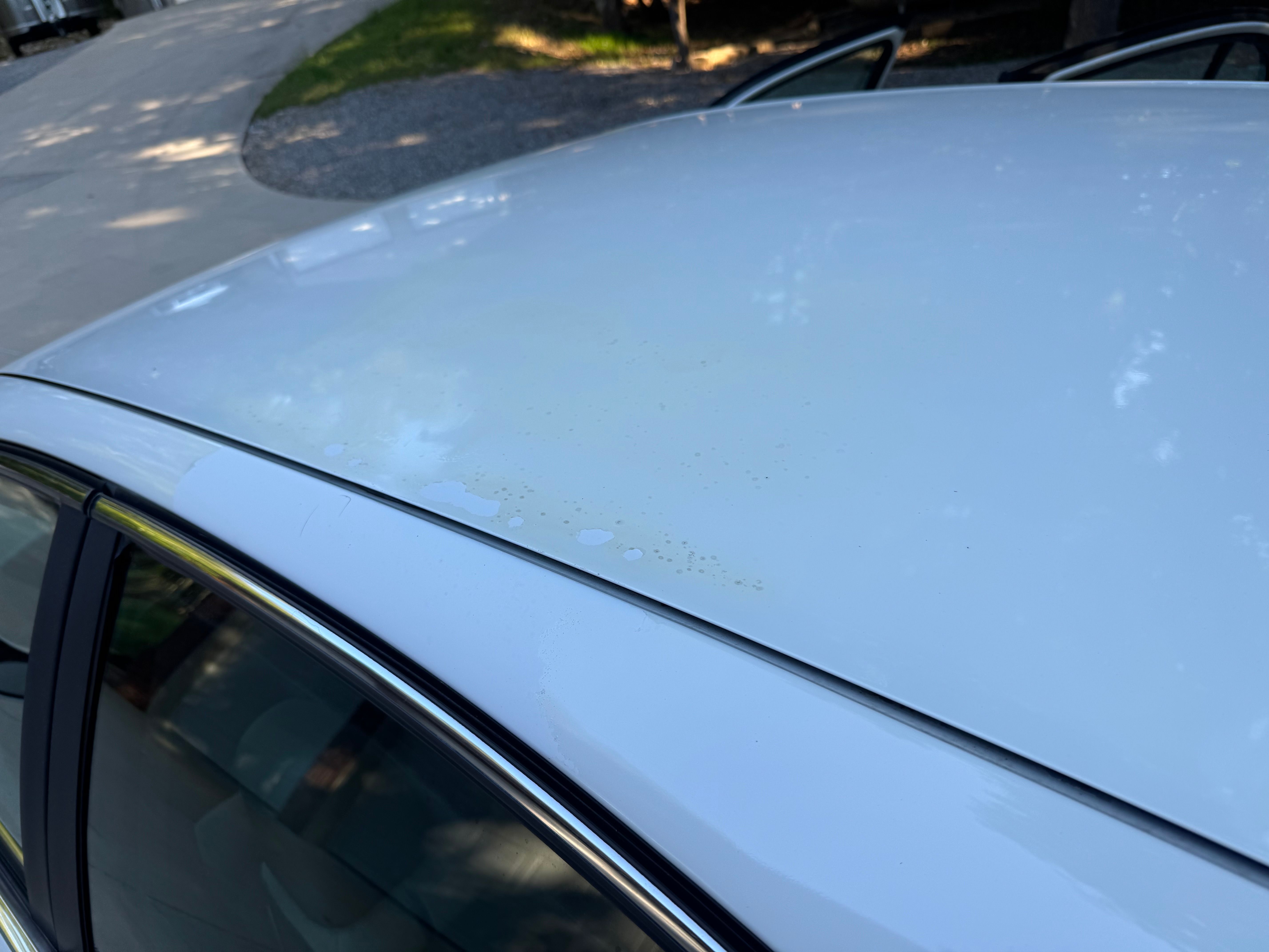 Used 2001 Buick Le Sabre Custom w/ Luxury Pkg FWD image 12