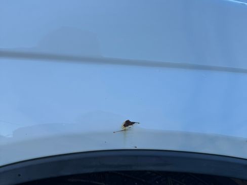 Used 2010 Honda CR-V EX-L image 15