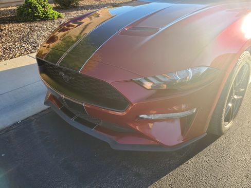 Used 2019 Ford Mustang Premium image 8