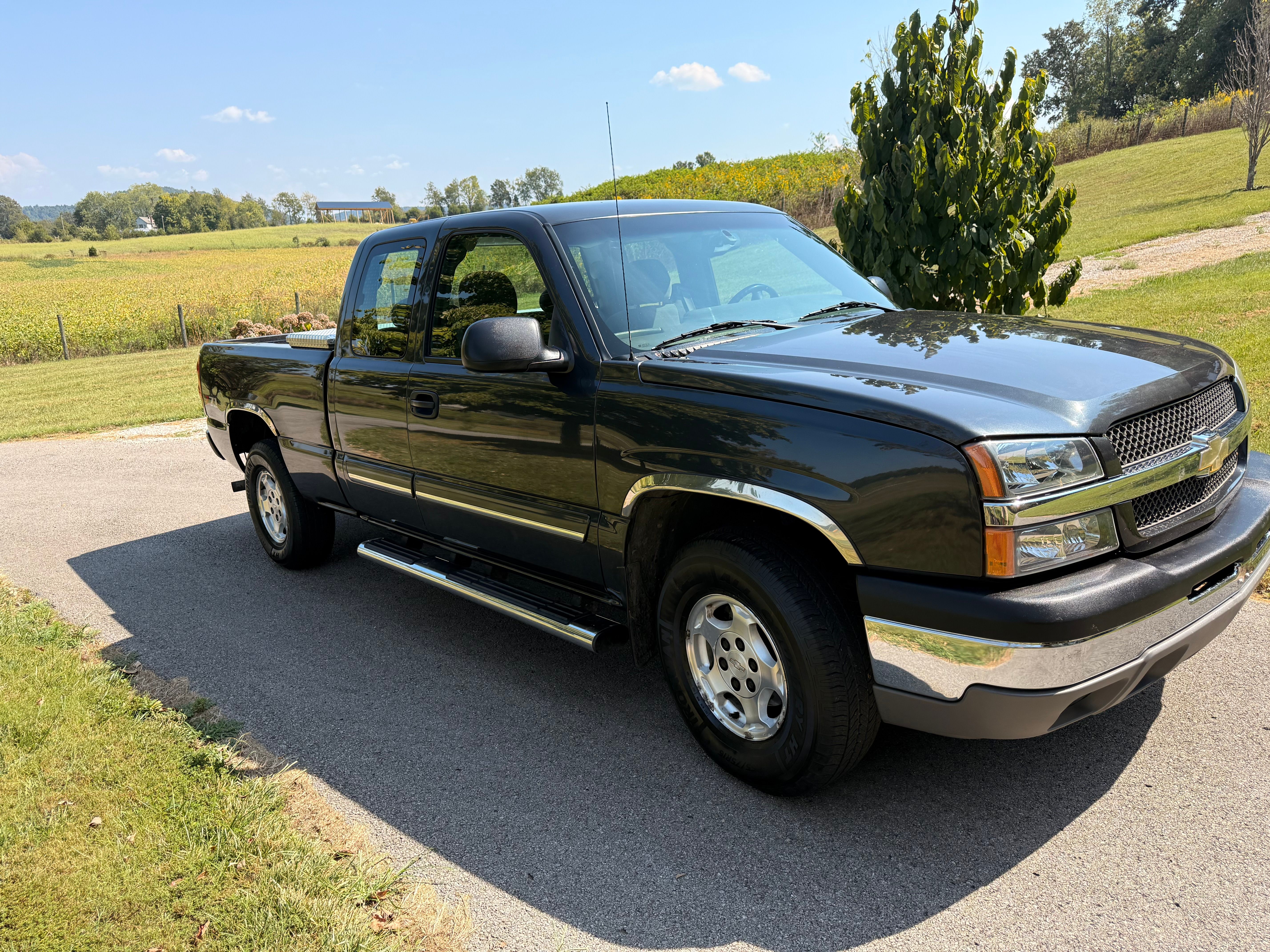 Used 2003 Chevrolet Silverado 1500 LS w/ Off-Road Package AWD/4WD image 5