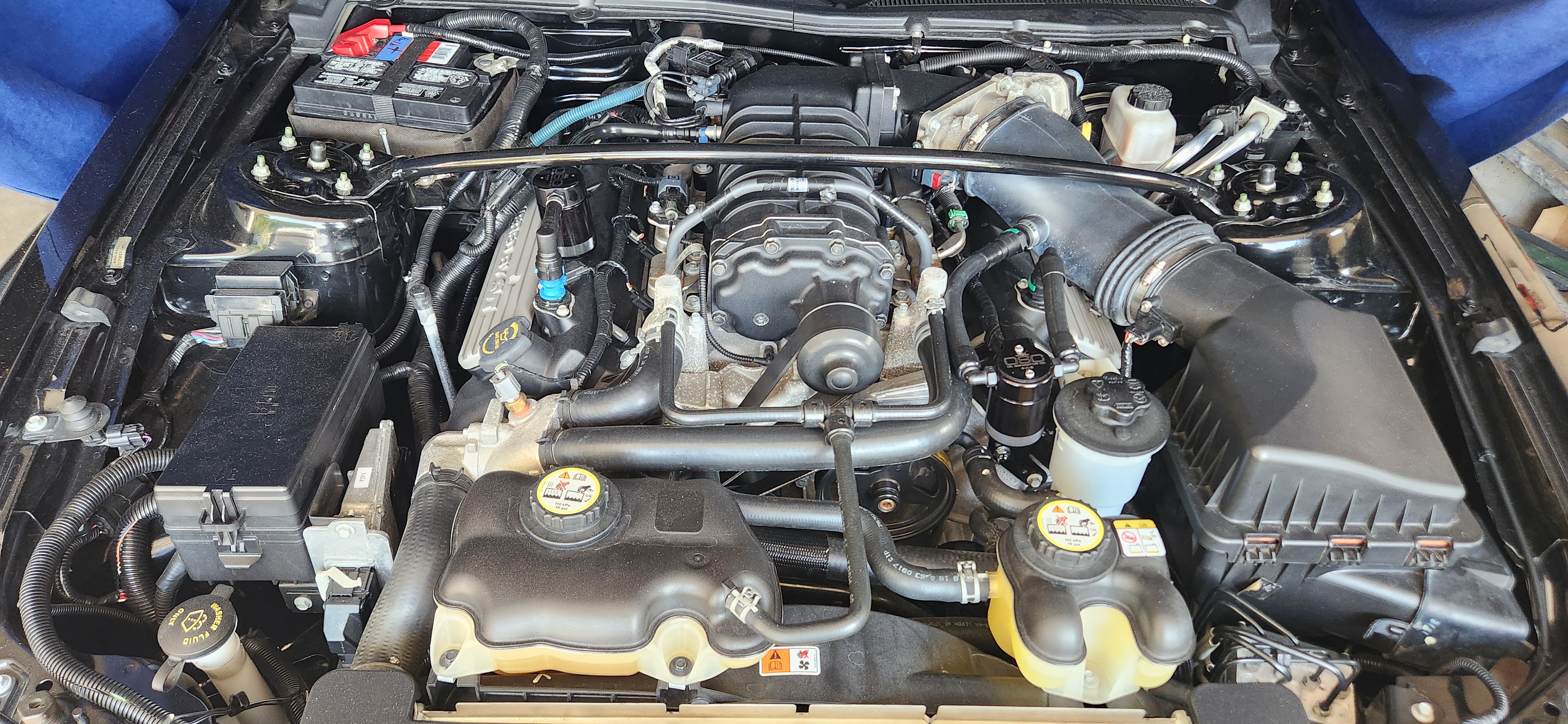 Used 2009 Ford Mustang Shelby GT500 RWD image 2