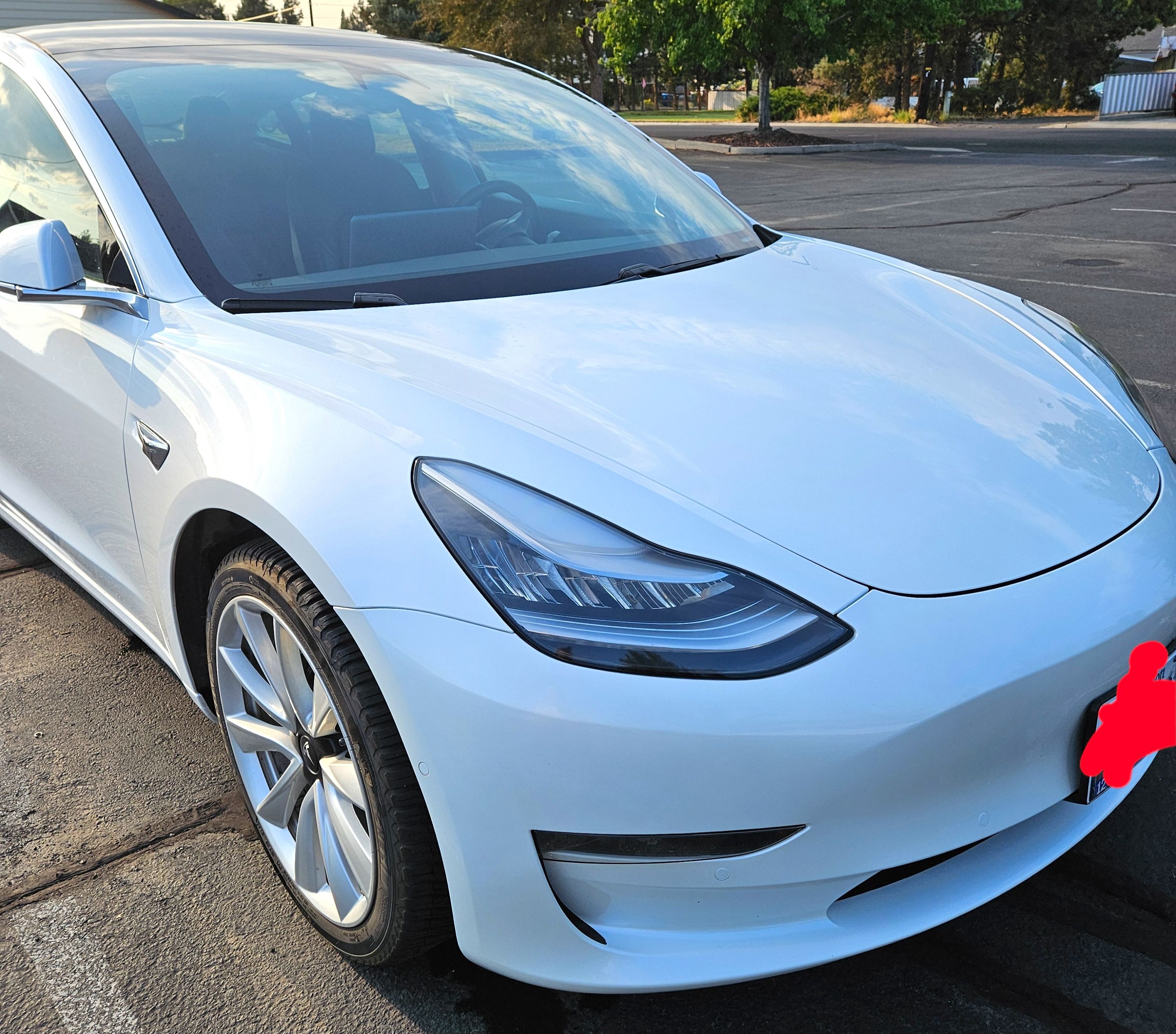 Used 2020 Tesla Model 3 Standard Range Plus RWD image 2