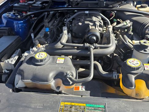 Used 2008 Ford Mustang Shelby GT500 image 15