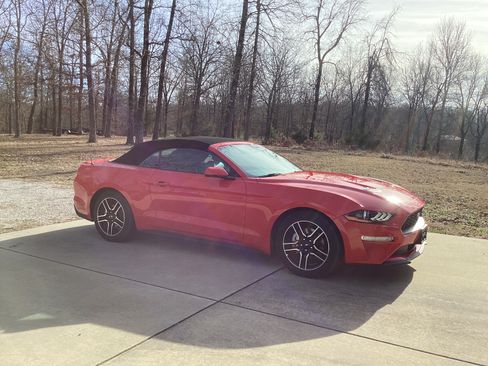 Used 2023 Ford Mustang Premium w/ Equipment Group 201A image 1