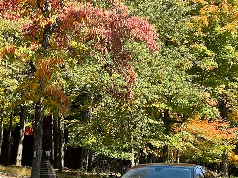 Used 2011 Jaguar XF Premium image 12