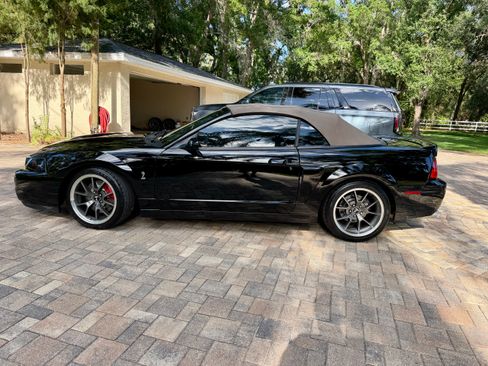 Used 2003 Ford Mustang Cobra image 2