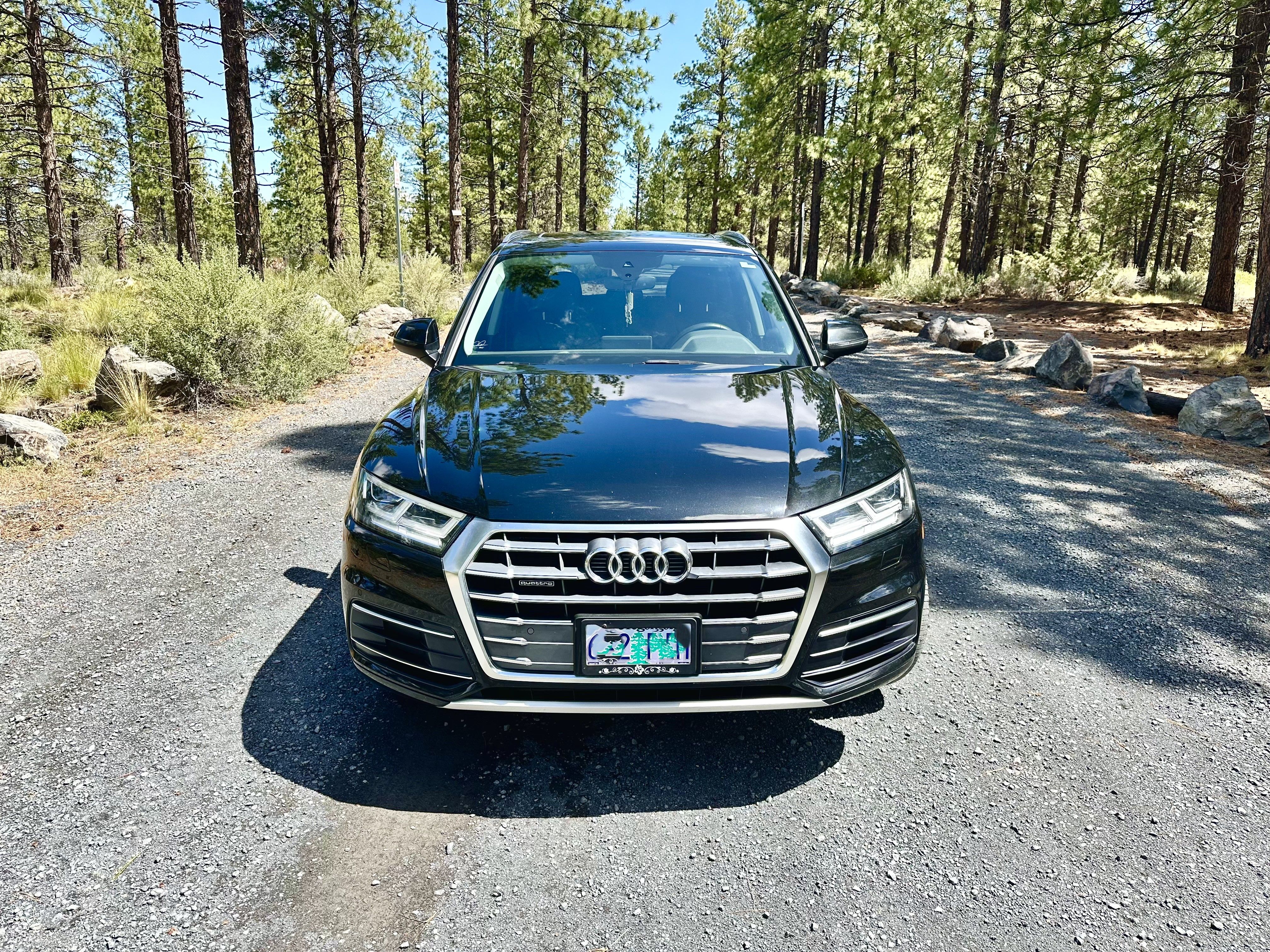 Used 2019 Audi Q5 2.0T Premium Plus w/ Premium Plus Package AWD/4WD image 14