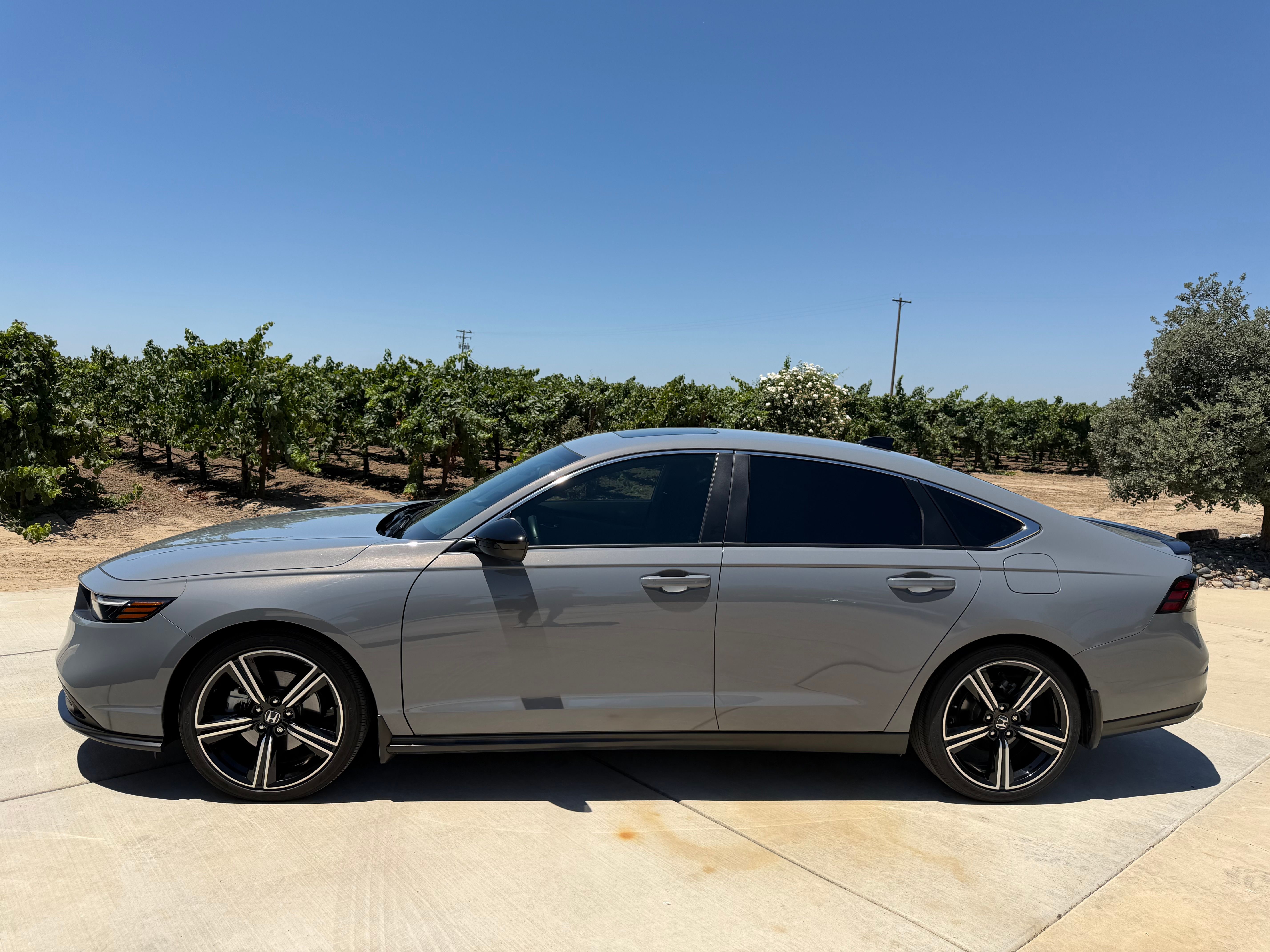 Used 2023 Honda Accord Sport image 2