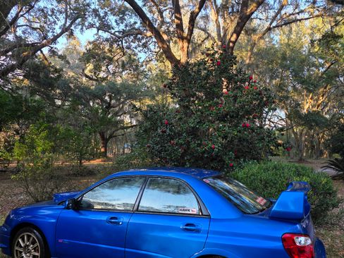 Used 2005 Subaru Impreza WRX STI image 2