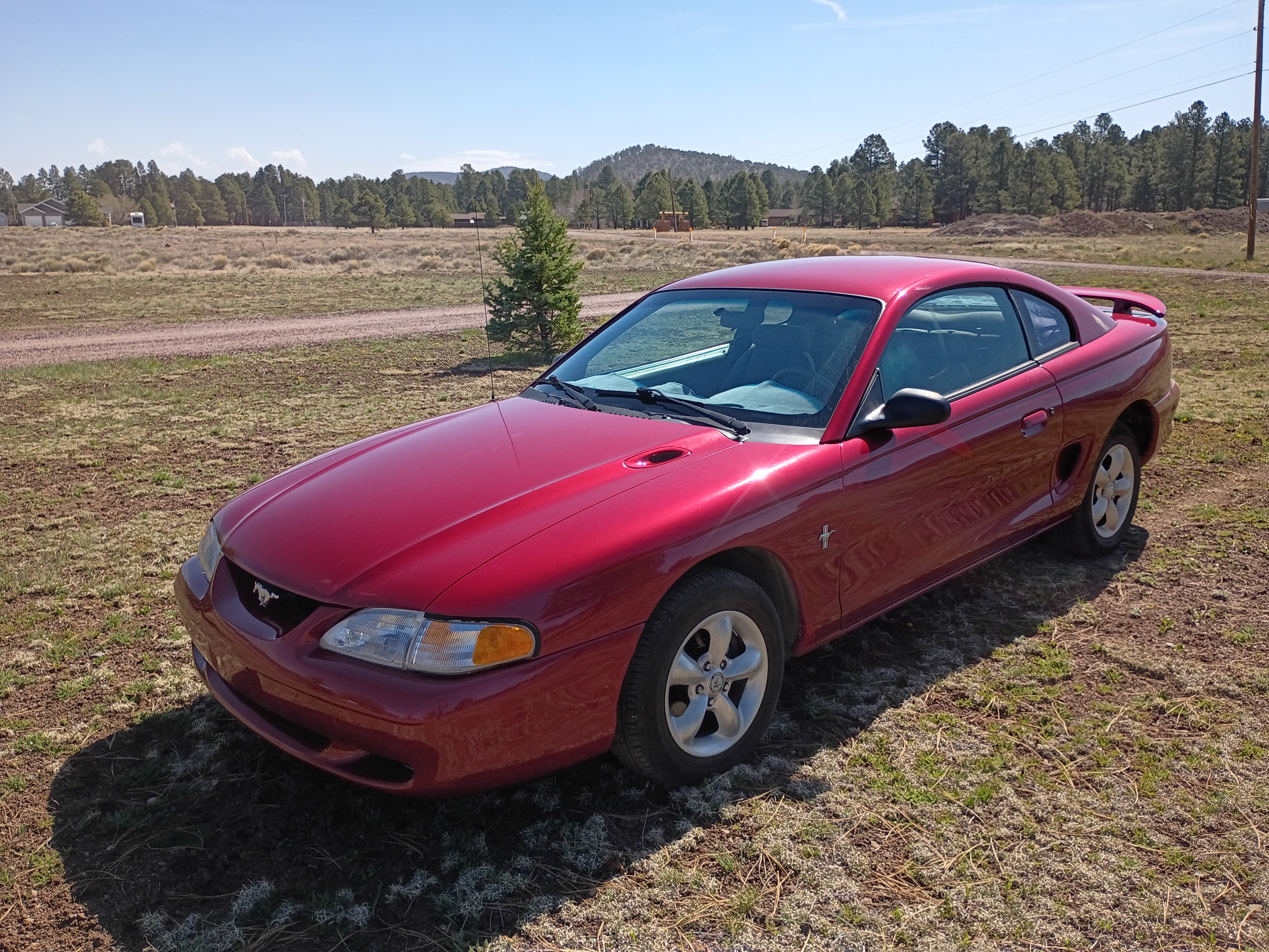 Used 1997 Ford Mustang Coupe RWD image 1