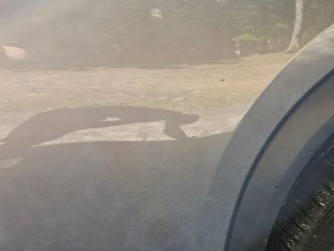 Used 2023 Nissan Rogue SL image 29