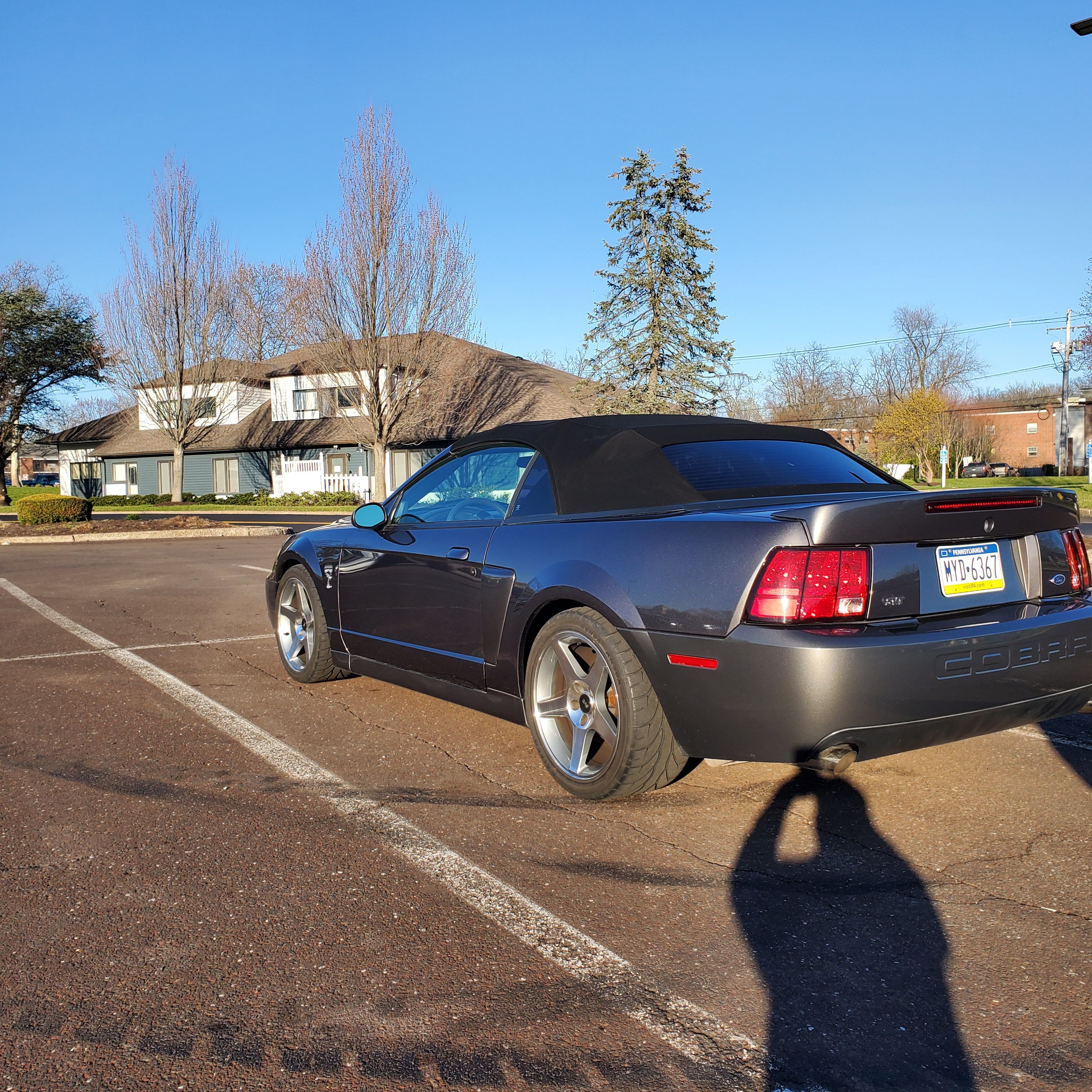 Used 2003 Ford Mustang Cobra RWD image 5