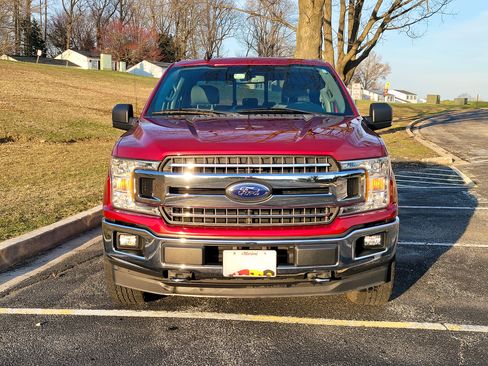 Used 2019 Ford F150 XLT w/ Equipment Group 302A Luxury image 2