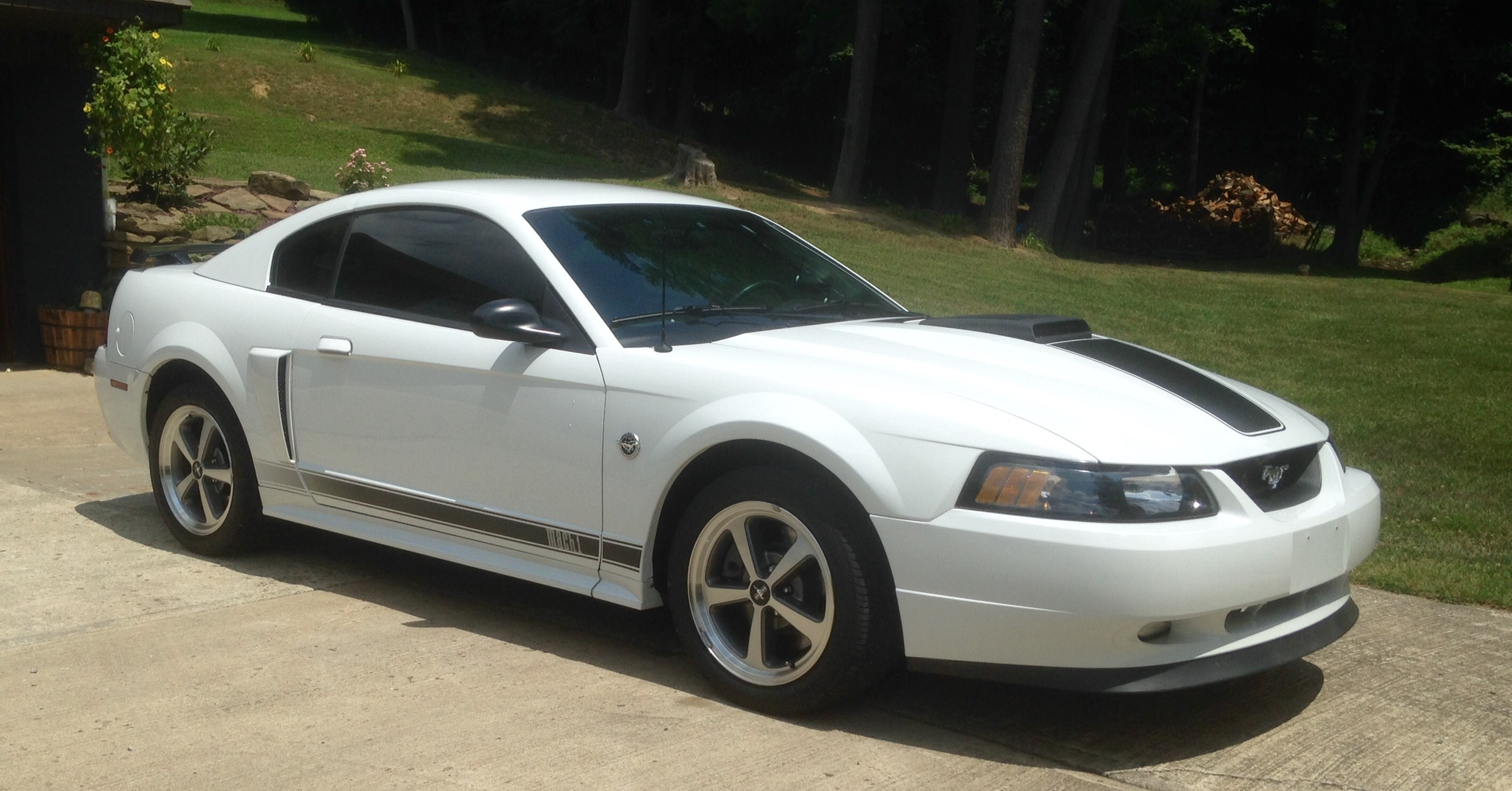 Used 2004 Ford Mustang Mach 1 RWD image 6