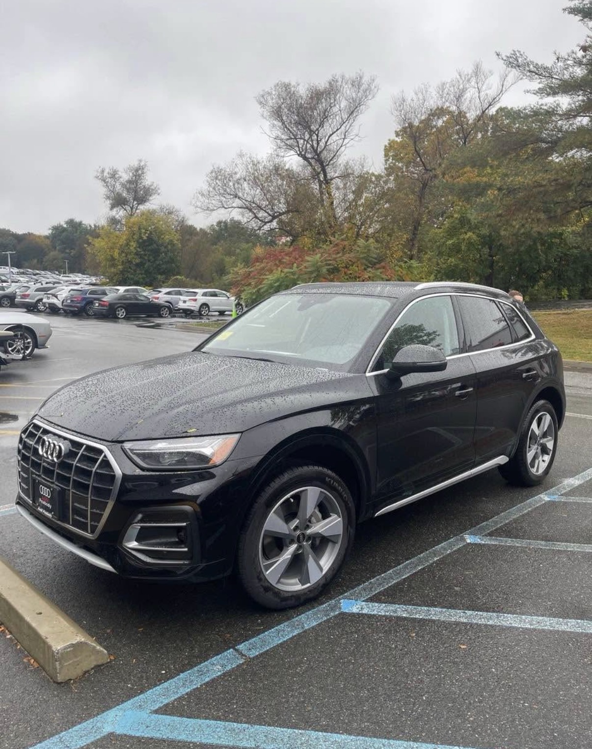 Used 2024 Audi Q5 2.0T Premium Plus AWD/4WD image 1