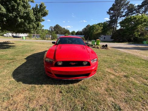 Used 2014 Ford Mustang GT w/ Equipment Group 301A RWD image 1