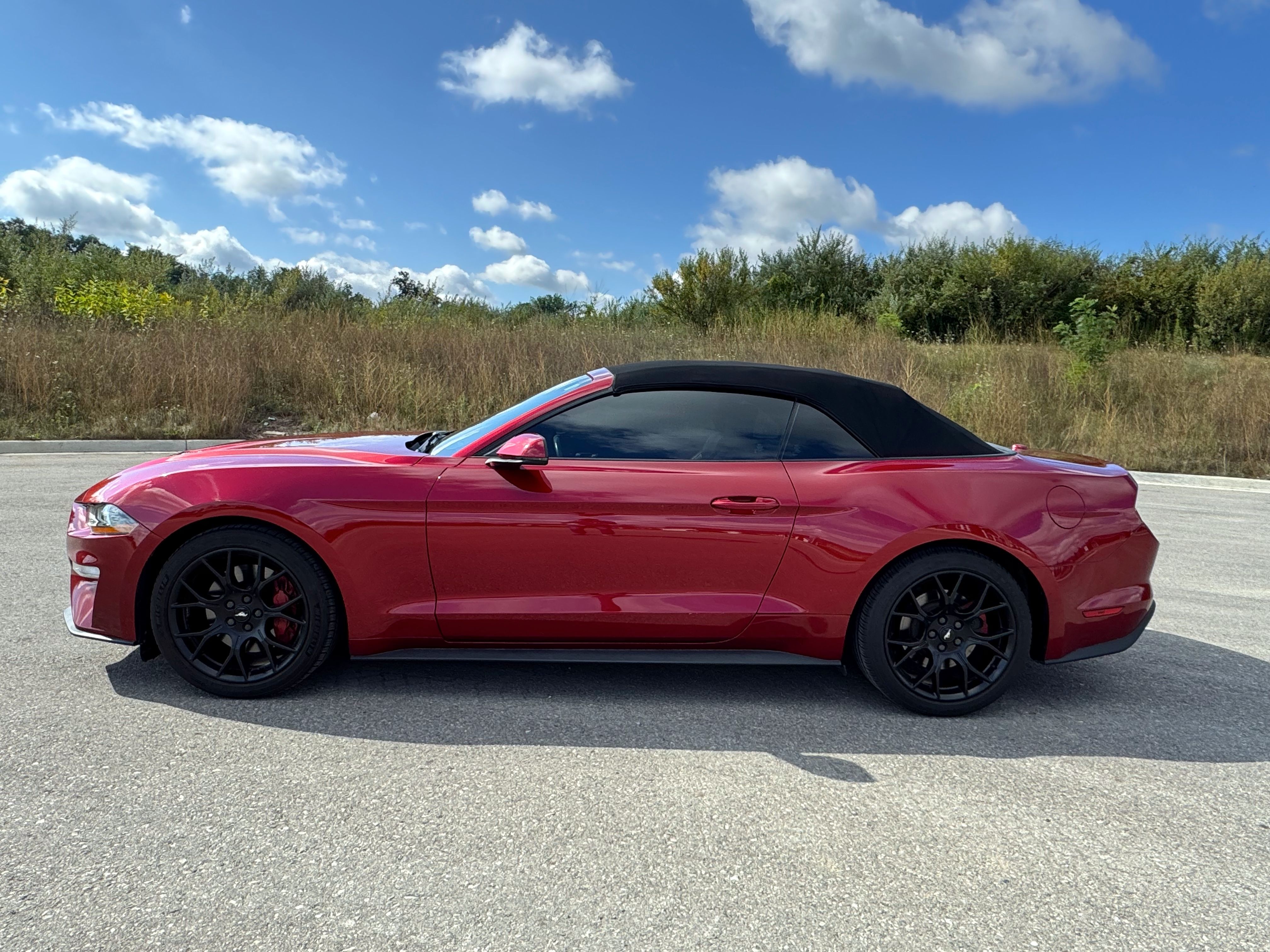 Used 2018 Ford Mustang Premium w/ Ecoboost Performance Package RWD image 5