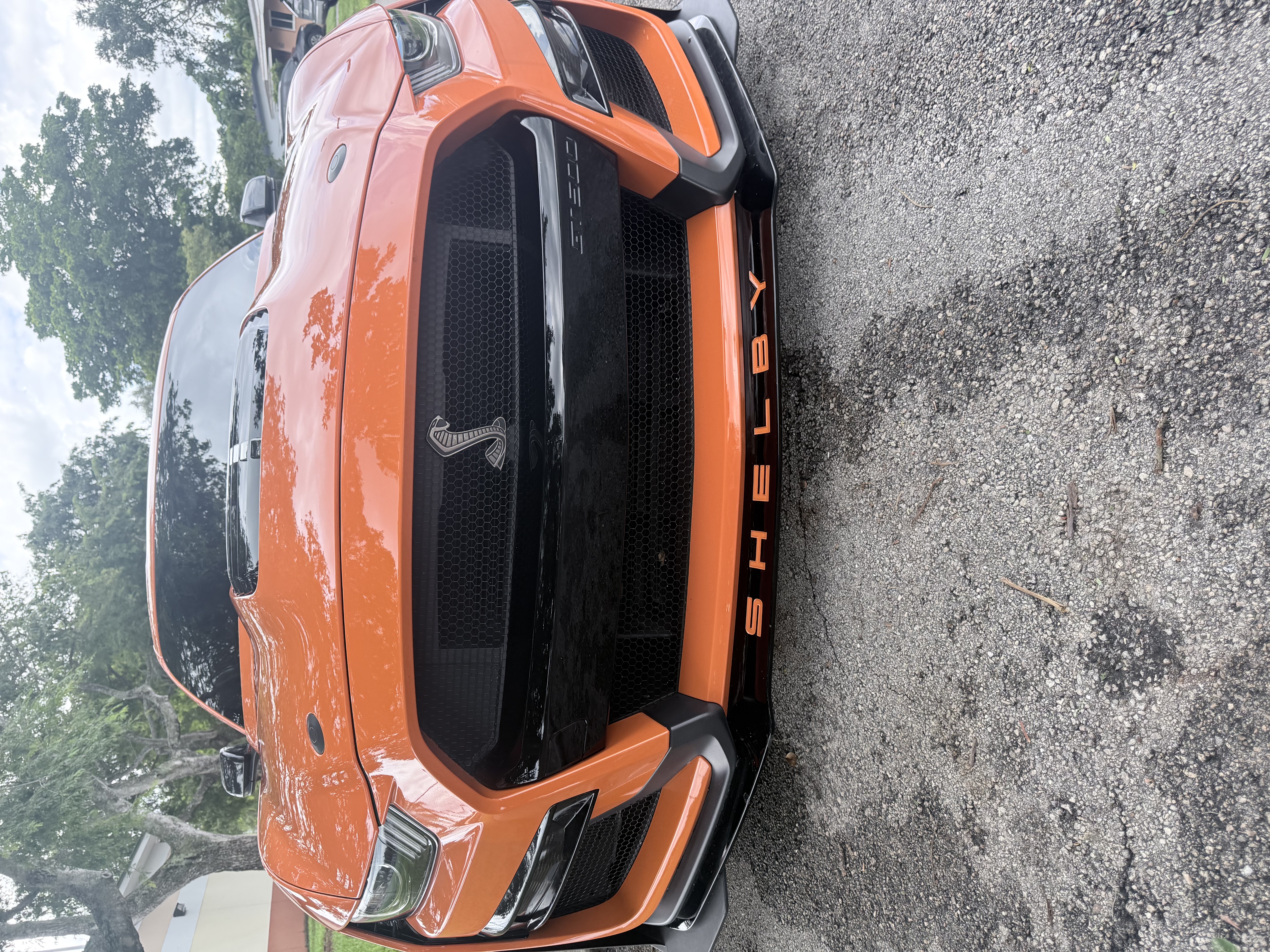 Used 2020 Ford Mustang Shelby GT500 w/ Technology Package RWD image 2
