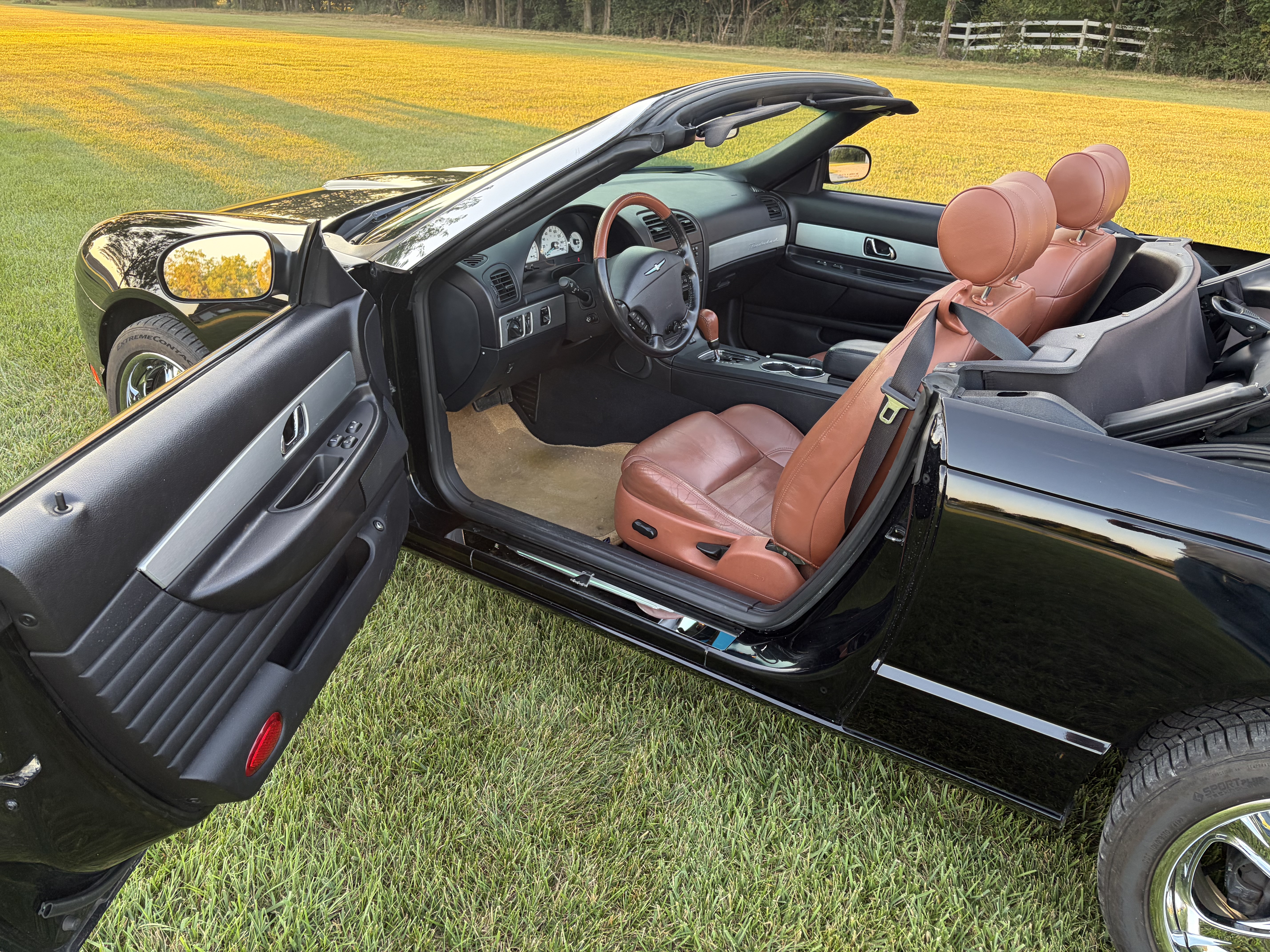 Used 2003 Ford Thunderbird RWD image 6