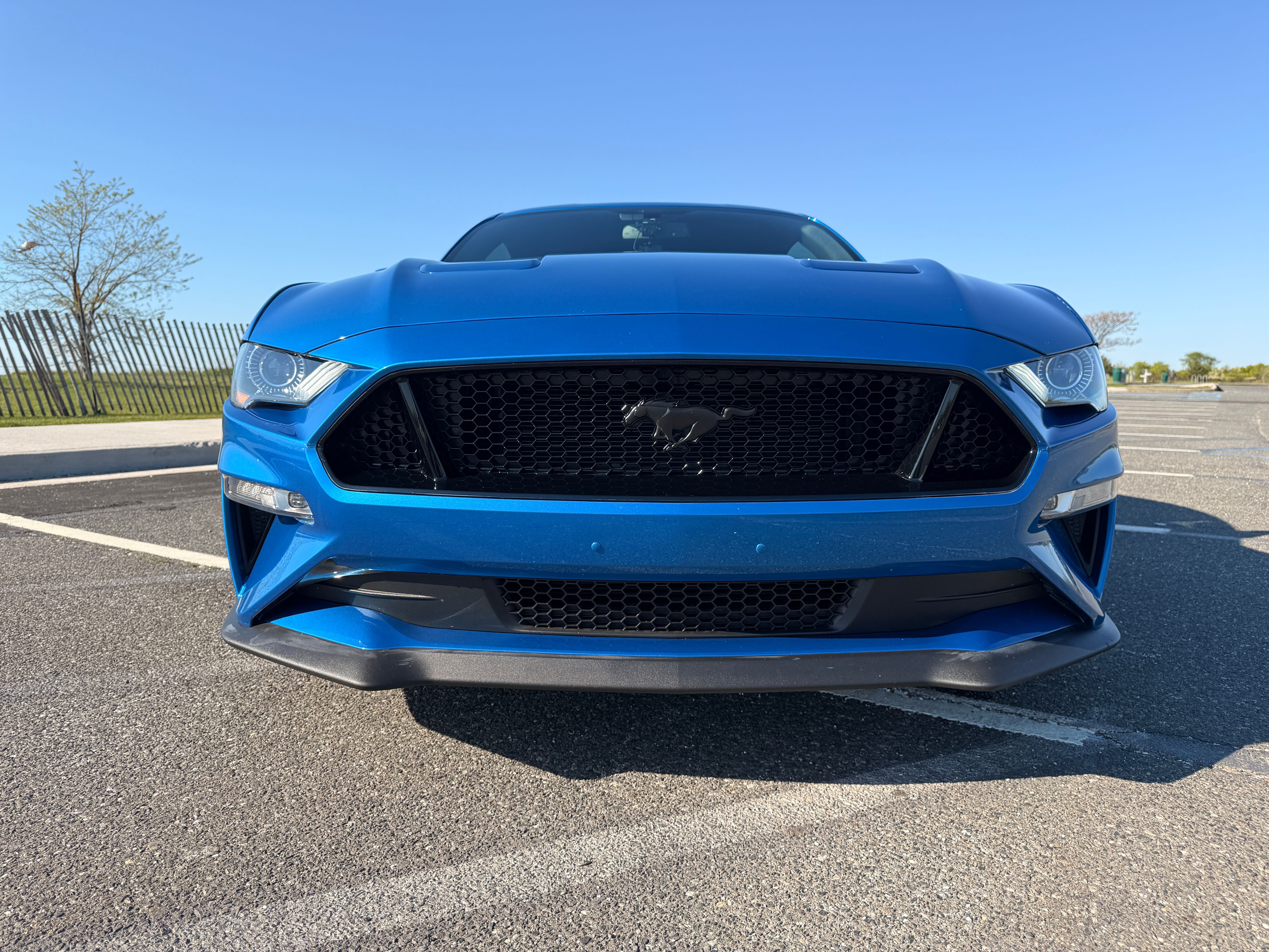 Used 2019 Ford Mustang GT Premium w/ GT Performance Package RWD image 4