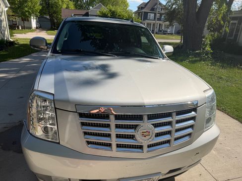Used 2010 Cadillac Escalade ESV Premium AWD/4WD image 4