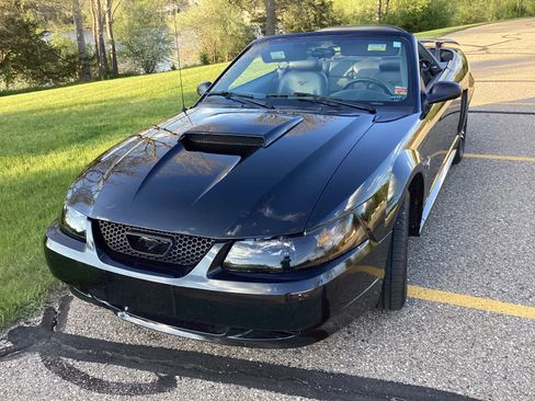 Used 2001 Ford Mustang Convertible RWD image 4